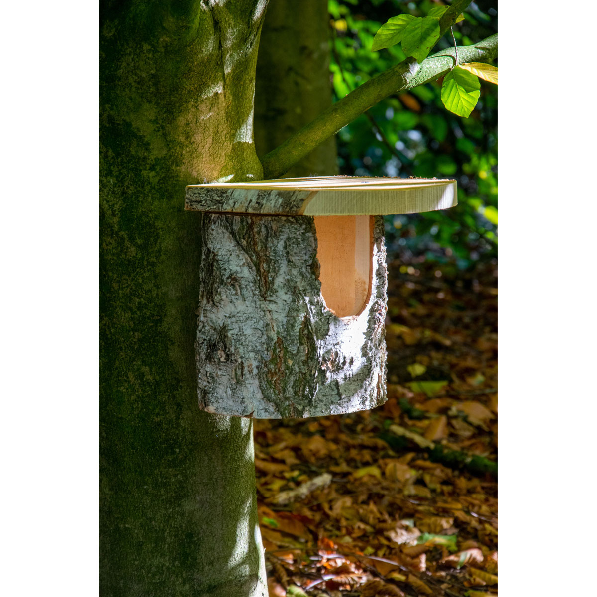 Nistkasten 14 x 22 x 24 cm Birkenaturbelassen Bild 6