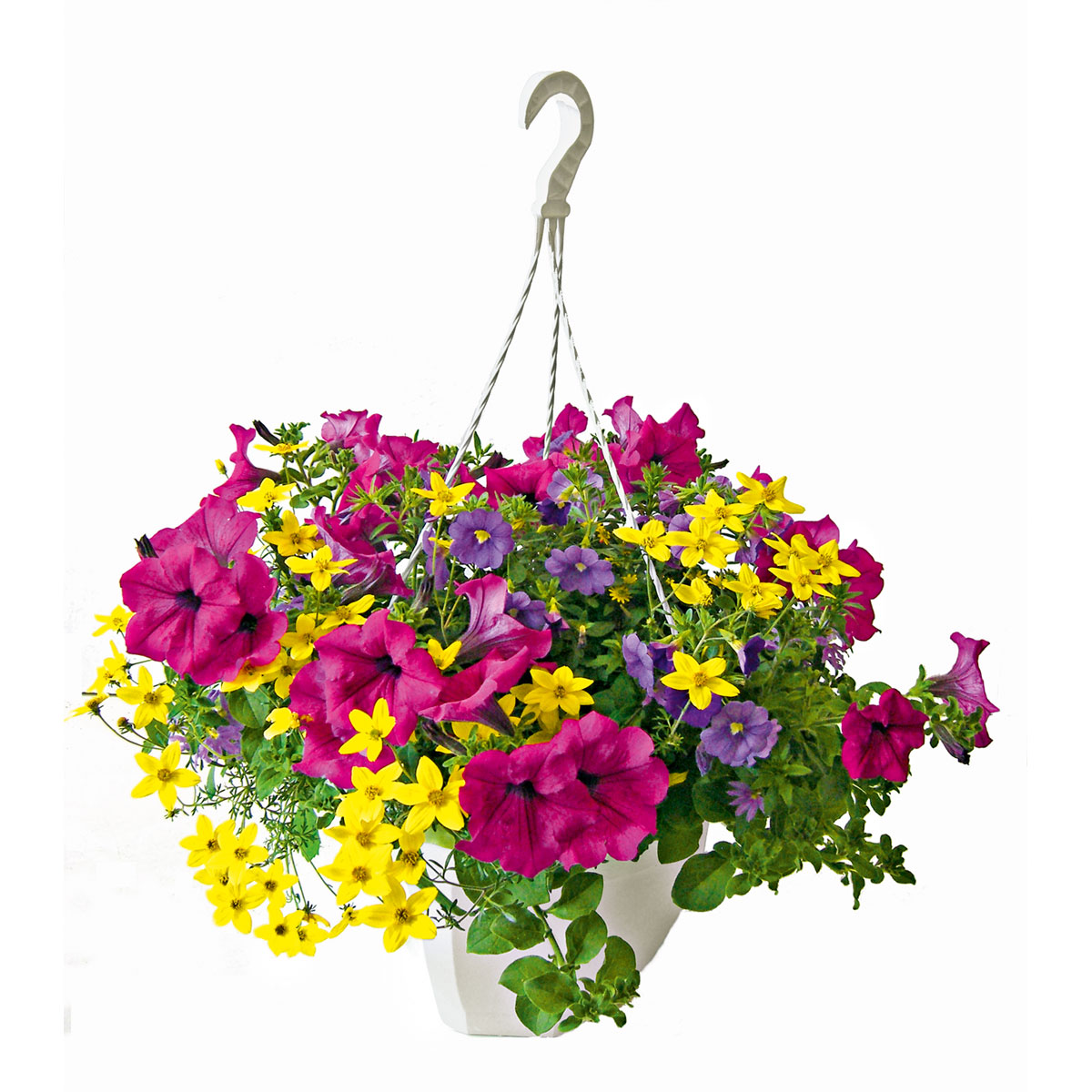 Ampel gemischt bepflanzt Topf Durchmesser 25 cm Bild 1