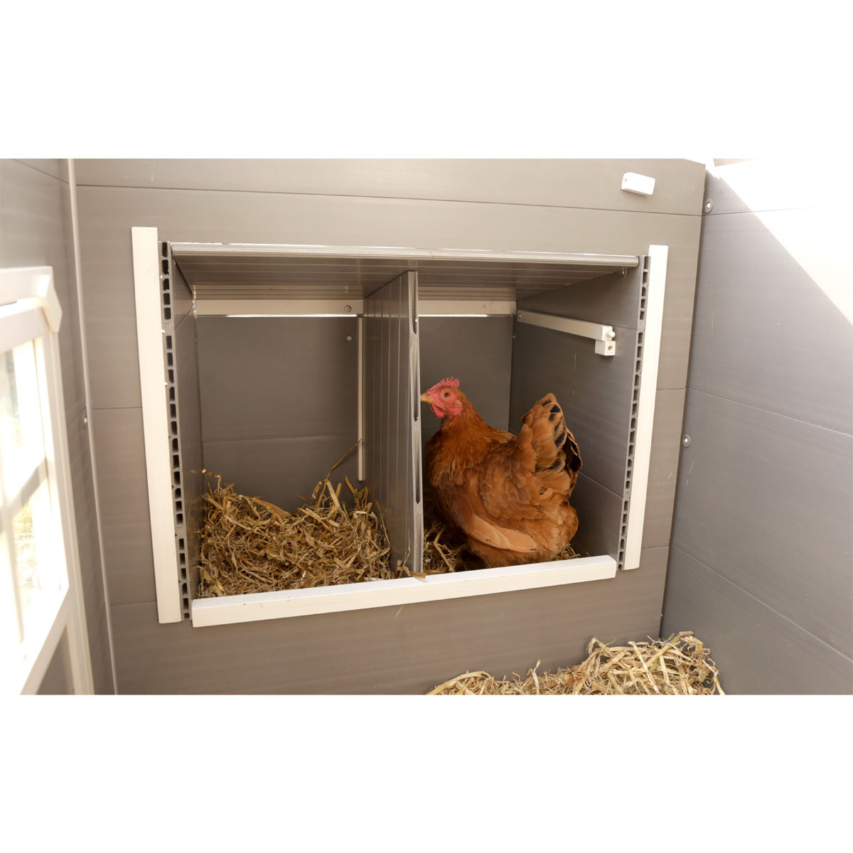 Kunststoffstall Barney 137 x 73 x 83 cm Bild 6