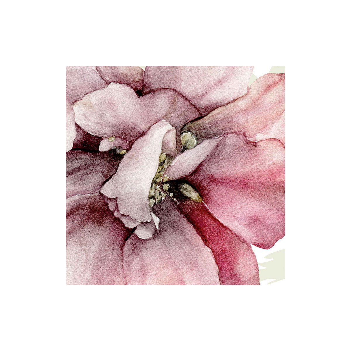 Komar  Vlies Fototapete La Flor 300x280 cm Bild 4