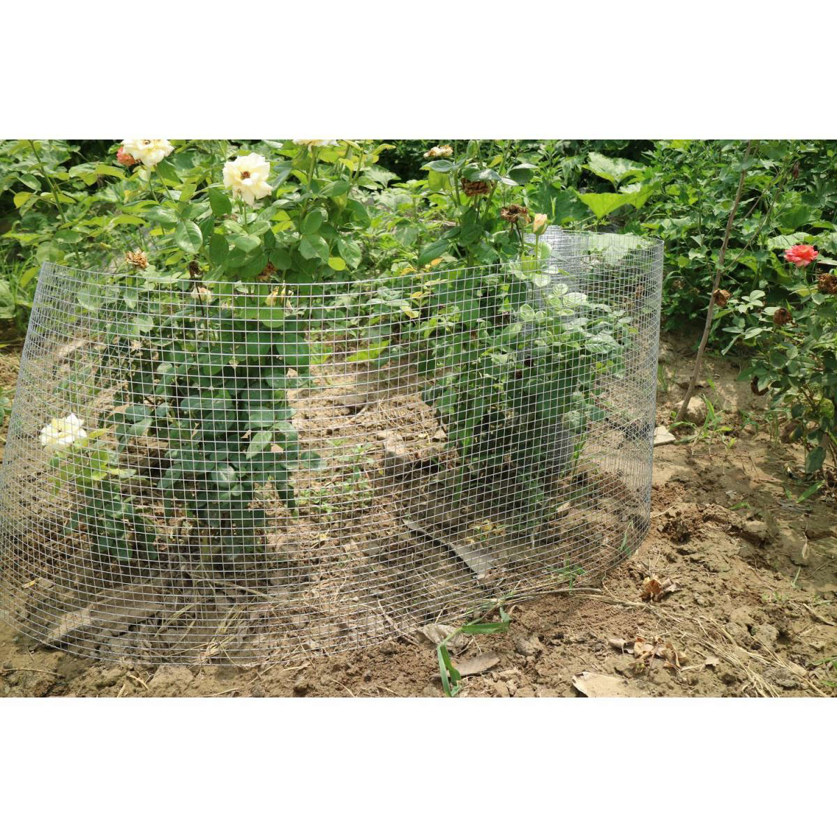 Durabil  Schweißgitter verzinkt Höhe 1000 mm Länge 5 Meter Masche 12,7 x 12,7 Bild 2