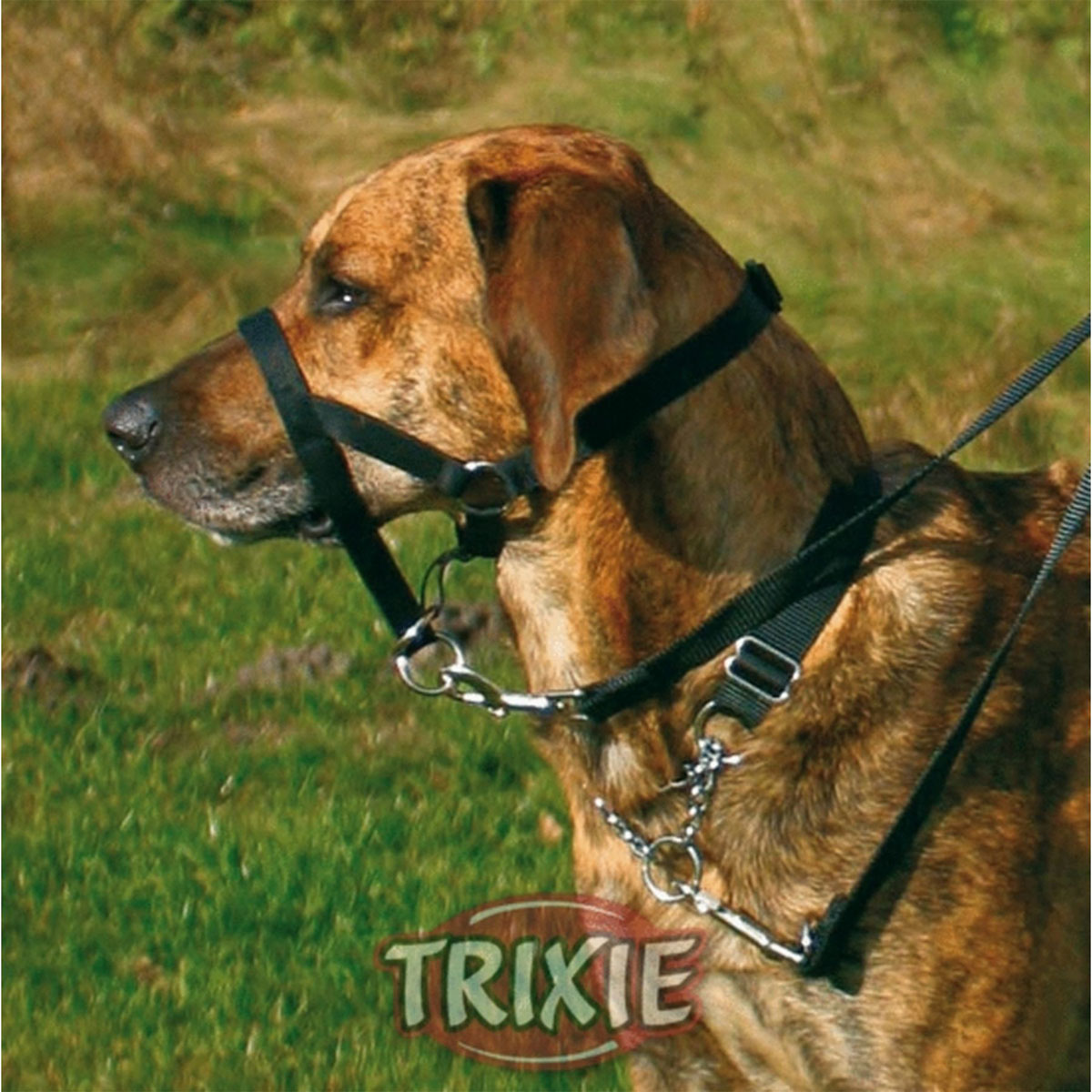 Trixie  Top Trainer Ausbildungsgeschirr L 31 cm