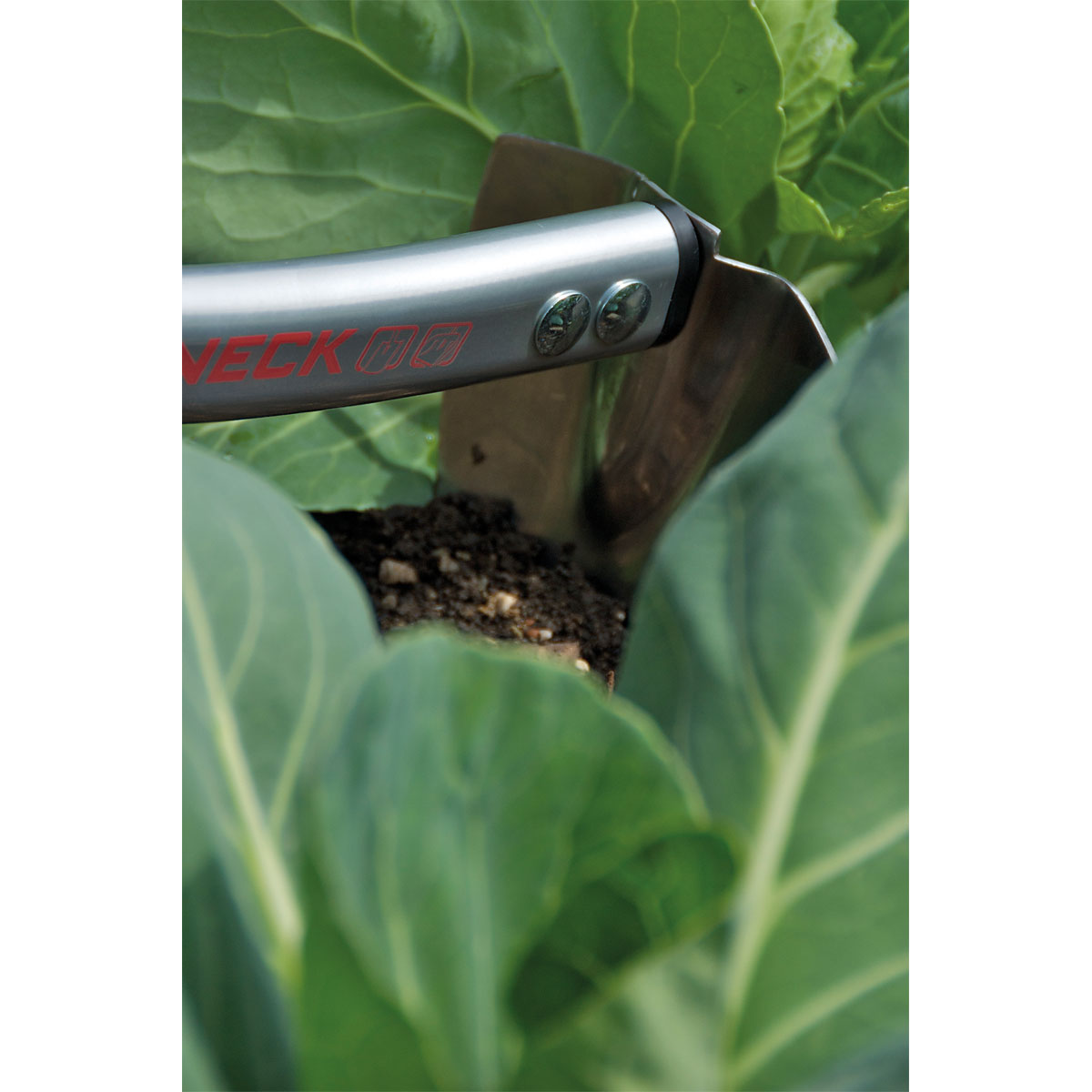 Sonneck Hochbeethaue Premium Bild 4