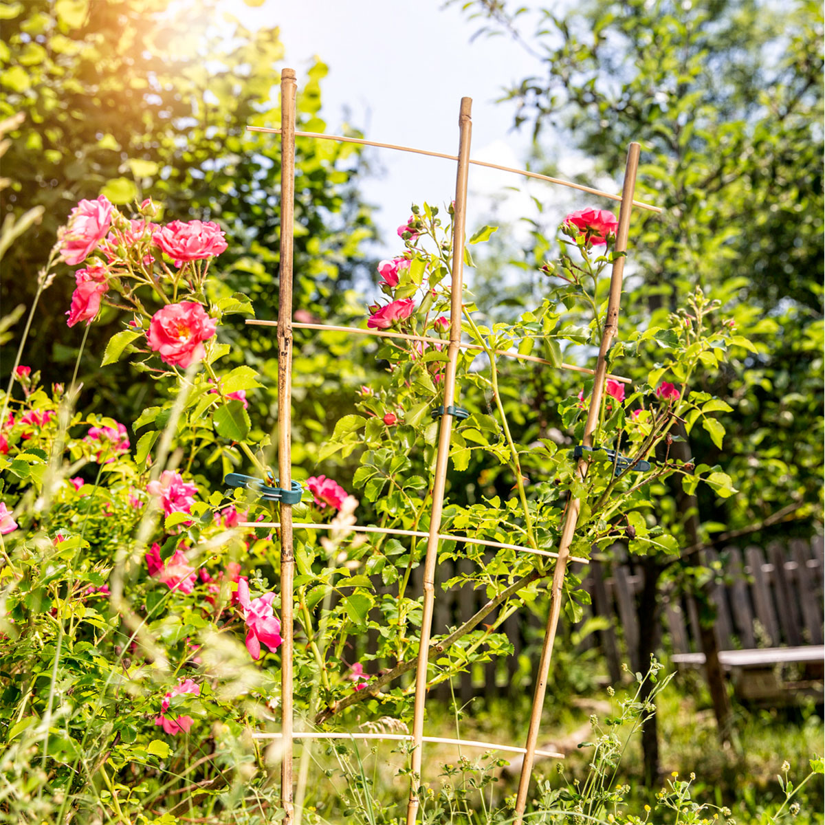 Windhager  Blumenstütze Bambus 150x50 cm