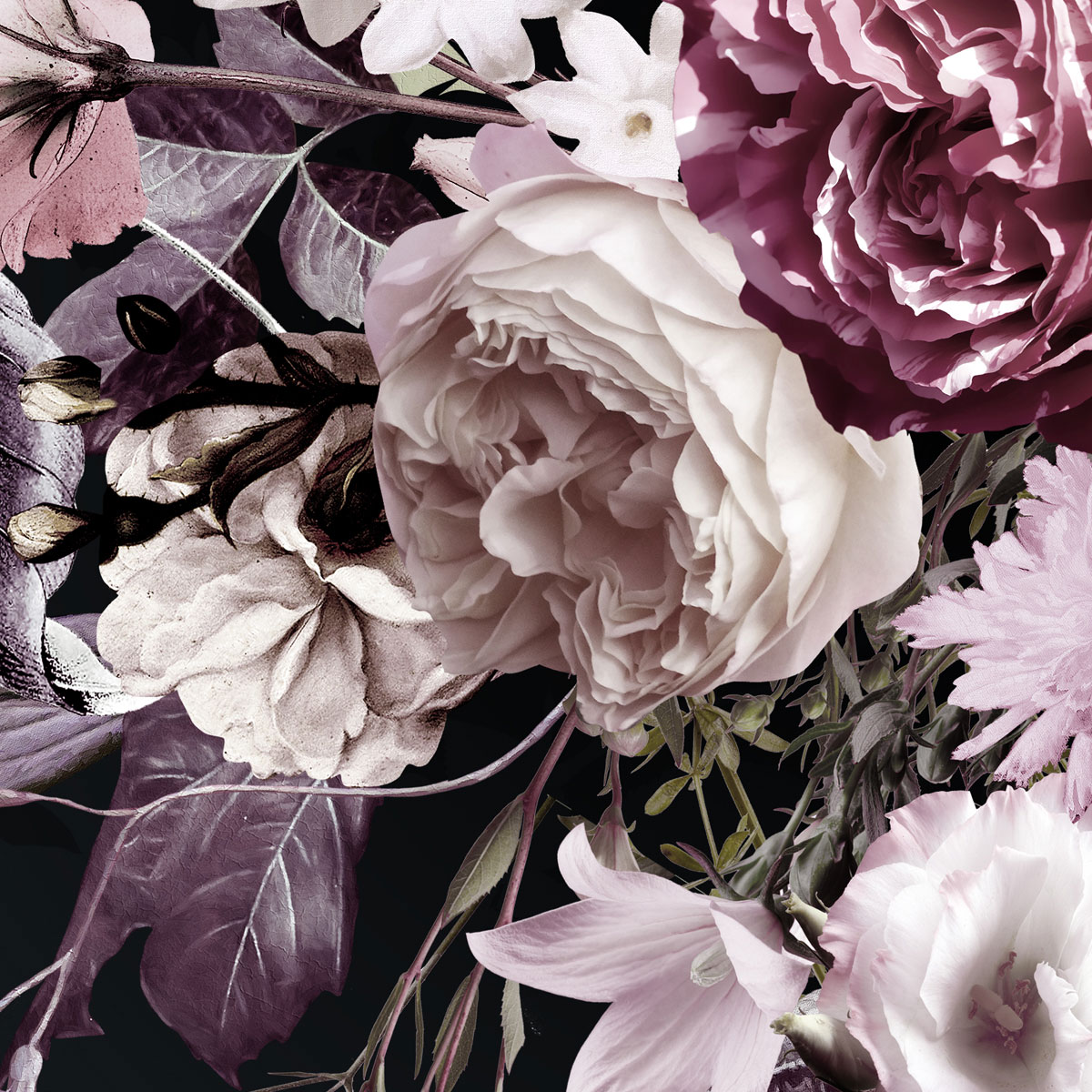 Komar  Vlies Fototapete Bouquet Noir 200x250 cm Bild 7