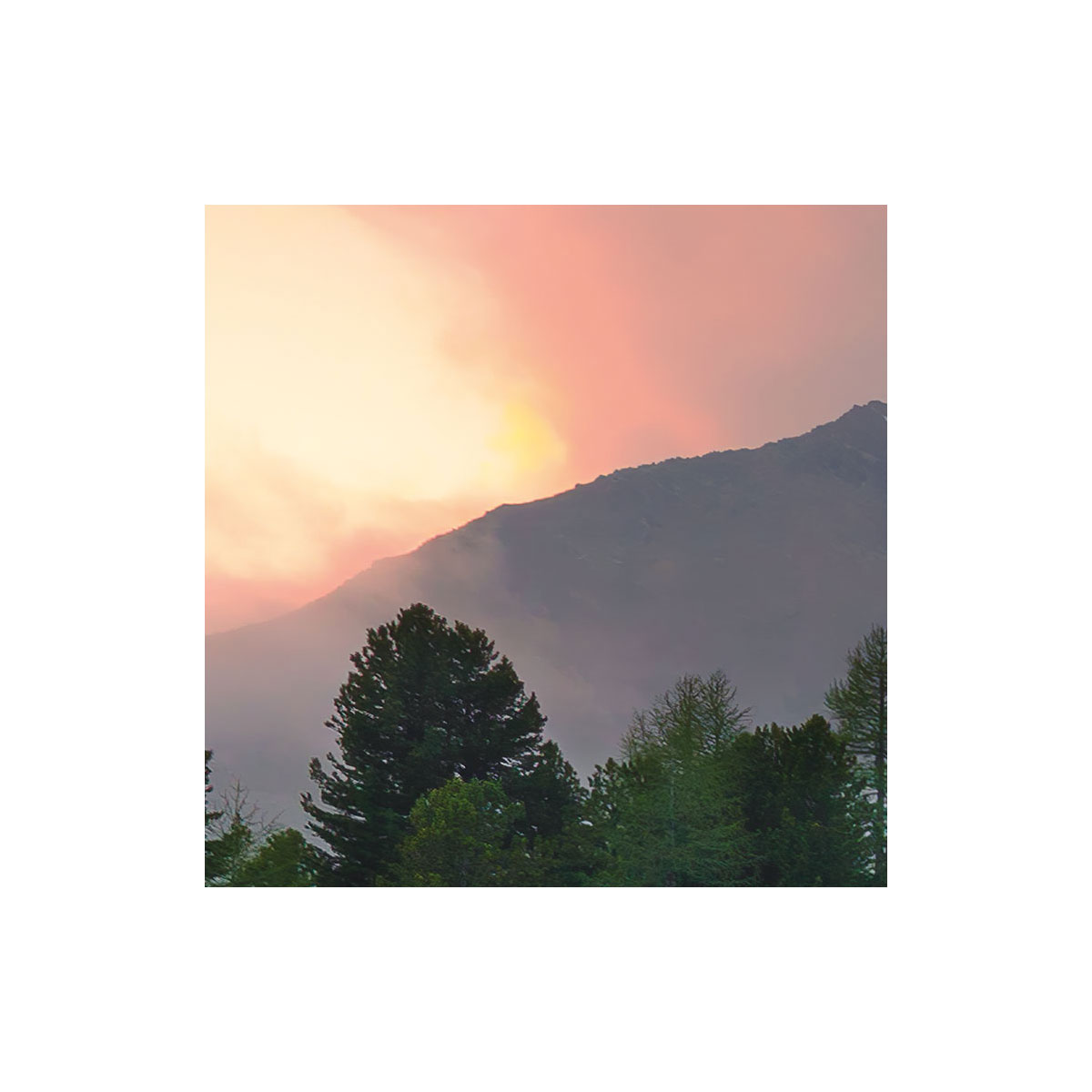 Komar  Vlies Fototapete Wild Paradise 450x280 cm Bild 6