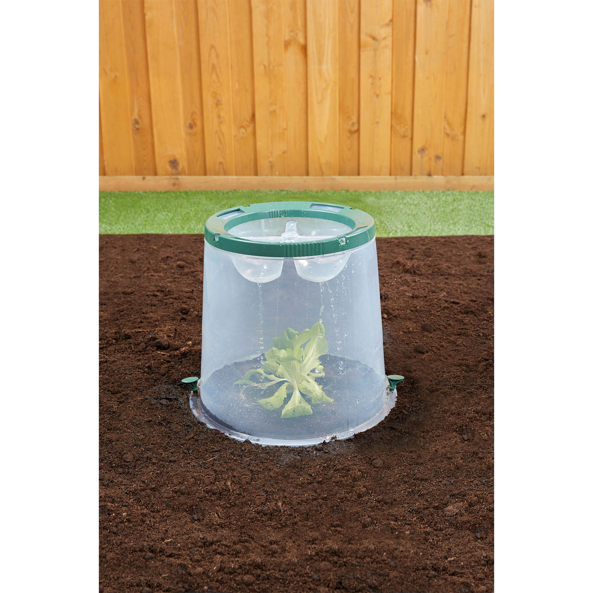 Garantia Pflanzglocken-Set Sunny 2-teilig Bild 6