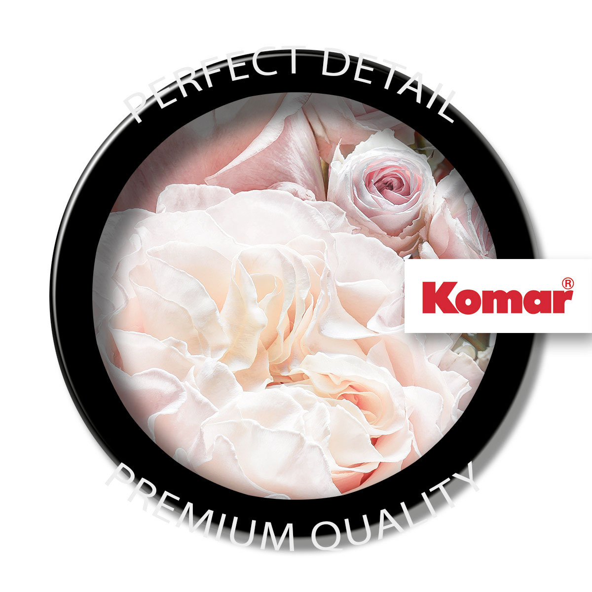 Komar  Papier Fototapete Spring Roses 368x254 cm Bild 10