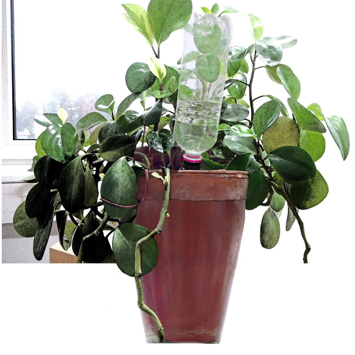 Windhager  automatischer Wasserspender Flaschen 3 Stück Bild 2