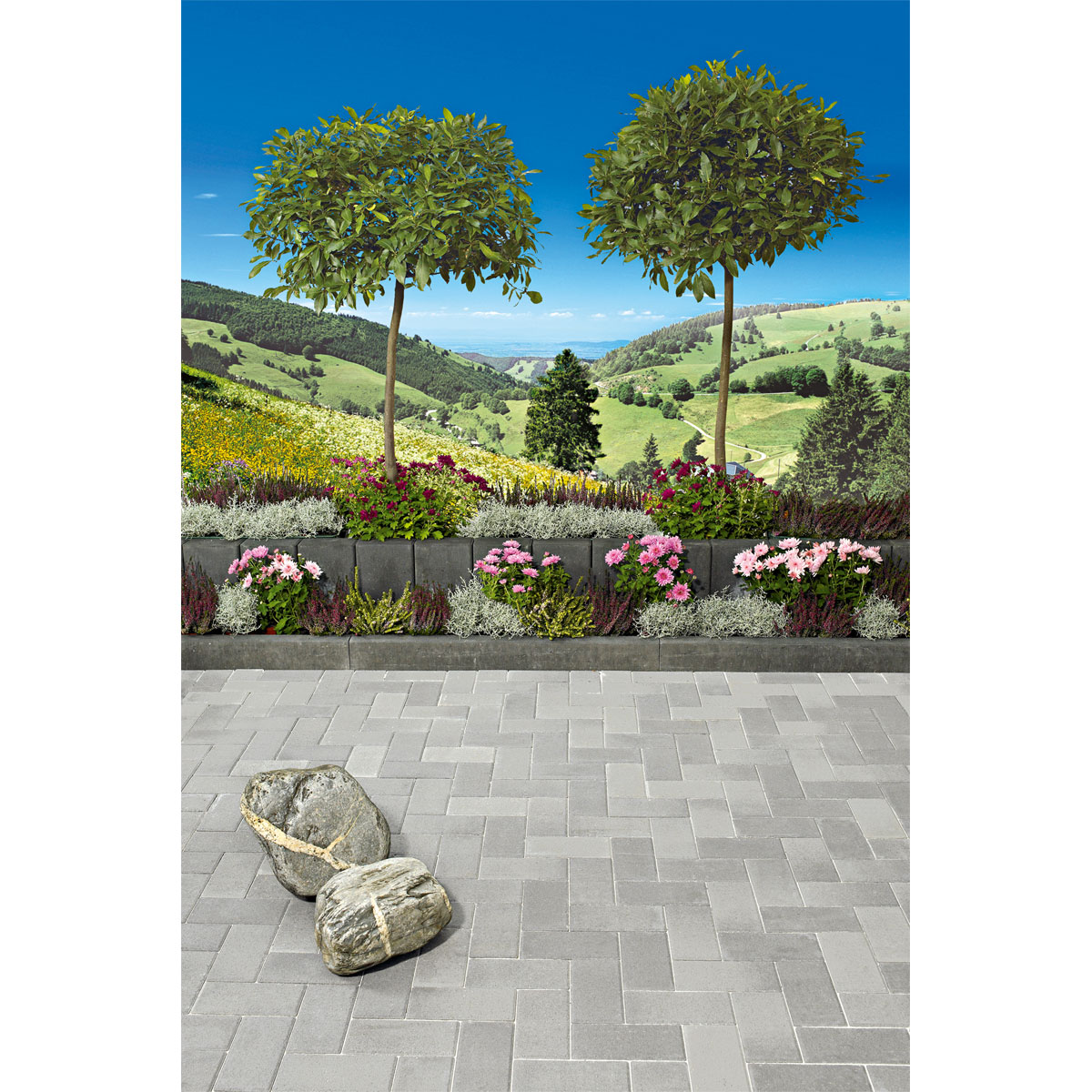 Lusit  Rechteckpflaster mit Fase grau 10 x 20 x 8 cm Bild 5