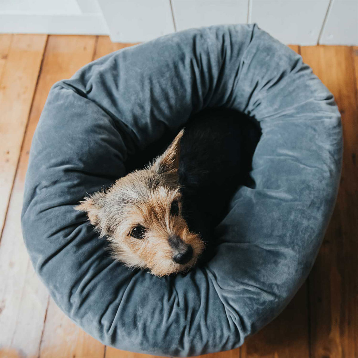 Hunter Hunde- und Katzenschlafplatz Miranda anthrazit Durchmesser 50 cm Bild 5