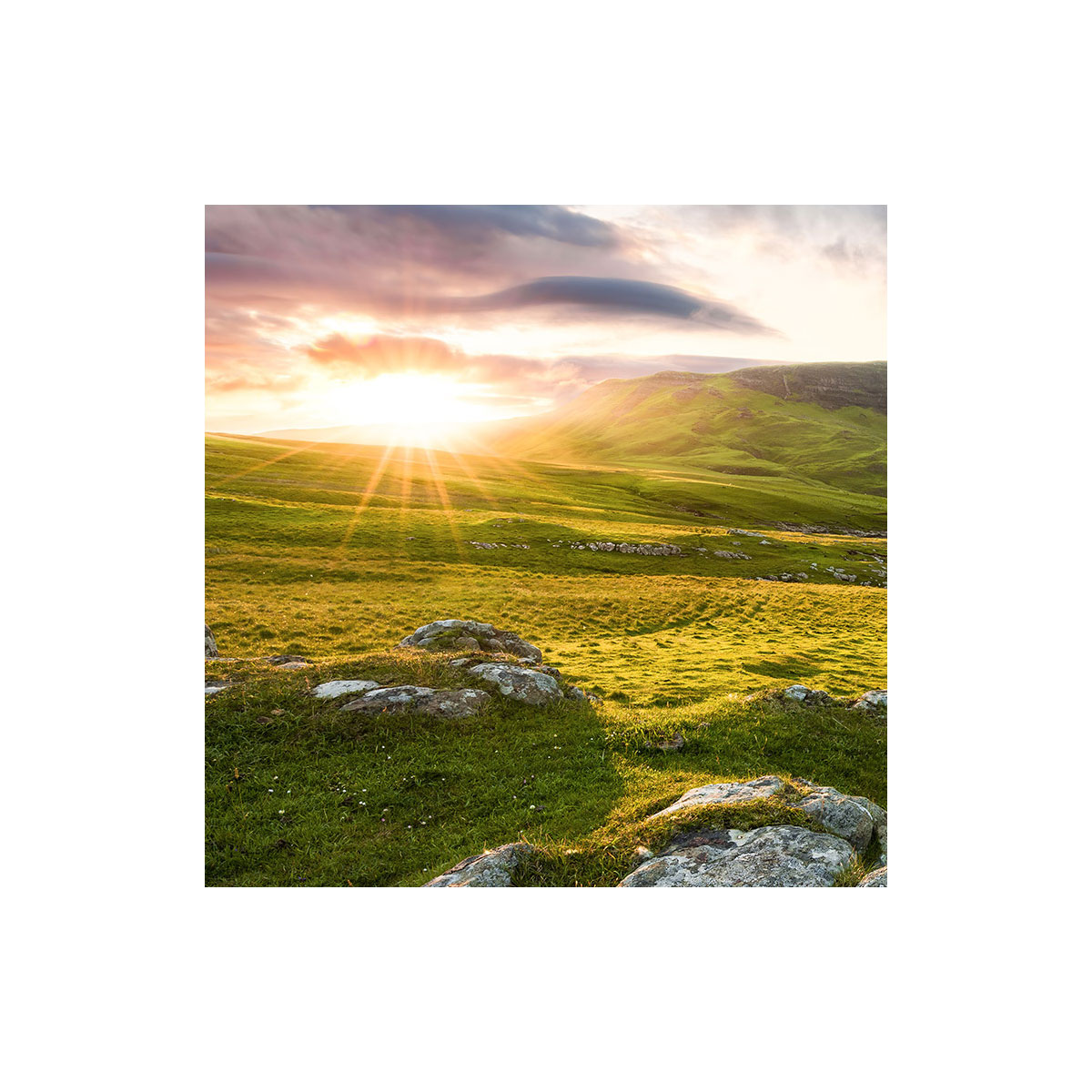 Komar  Vlies Fototapete Scottish Paradise 450x280 cm Bild 8