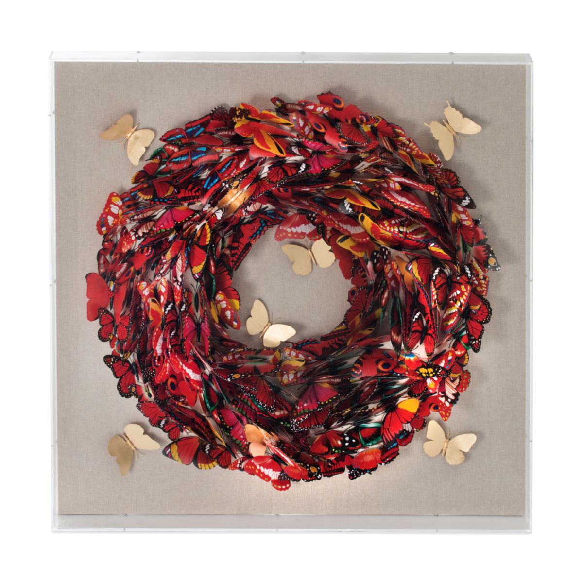 Papier Wandbild Schmetterling 80x80cm