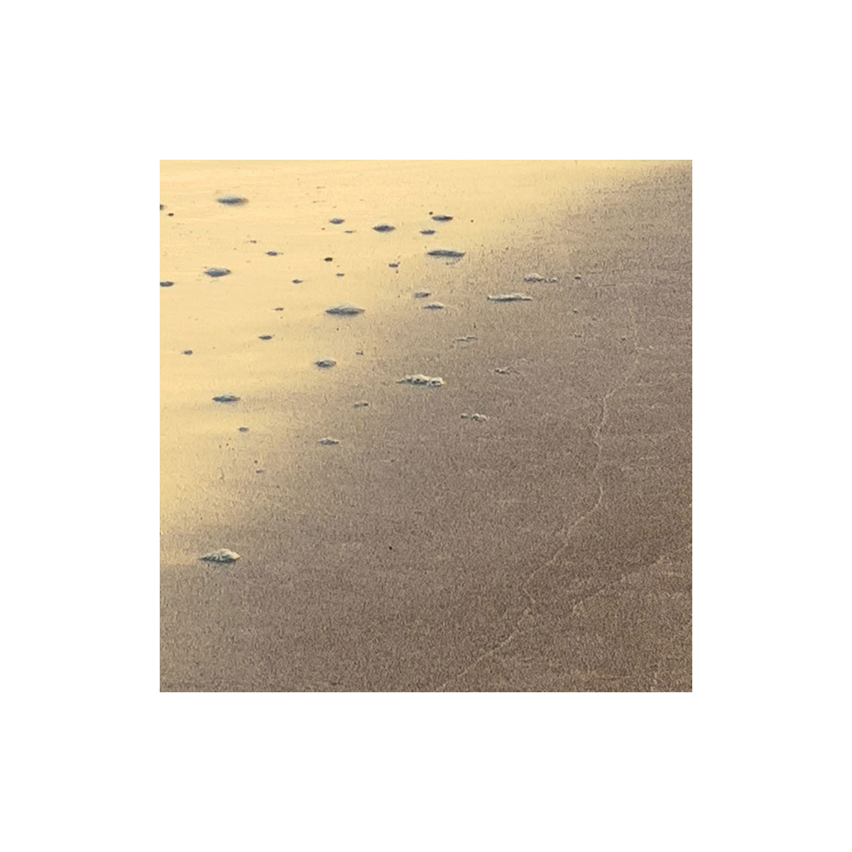 Komar  Vlies Fototapete Golden Gate 400x250 cm Bild 8