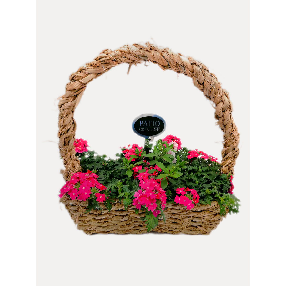 Plantiflor  Bepflanztes Gefäß Seegras 33 x 13 cm