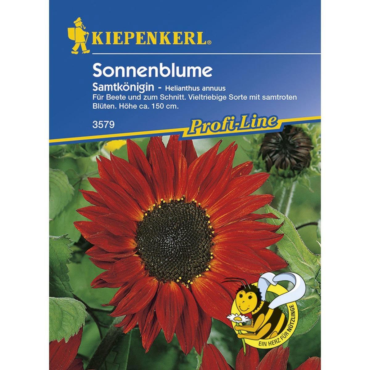 Kiepenkerl Sonnenblumen Samtkönigin Profi-Line