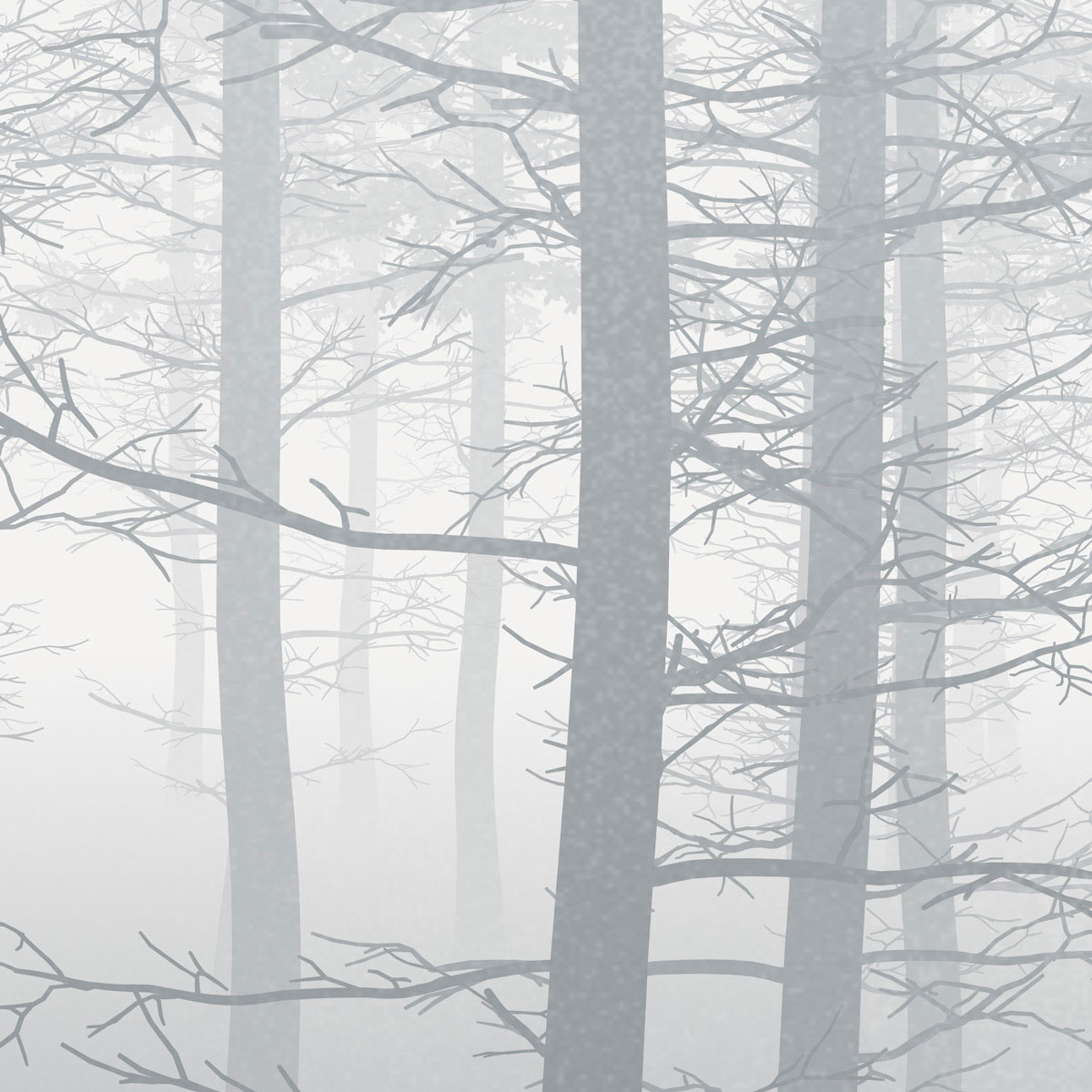 Komar  Vlies Fototapete Silver Haze 400x280 cm Bild 6