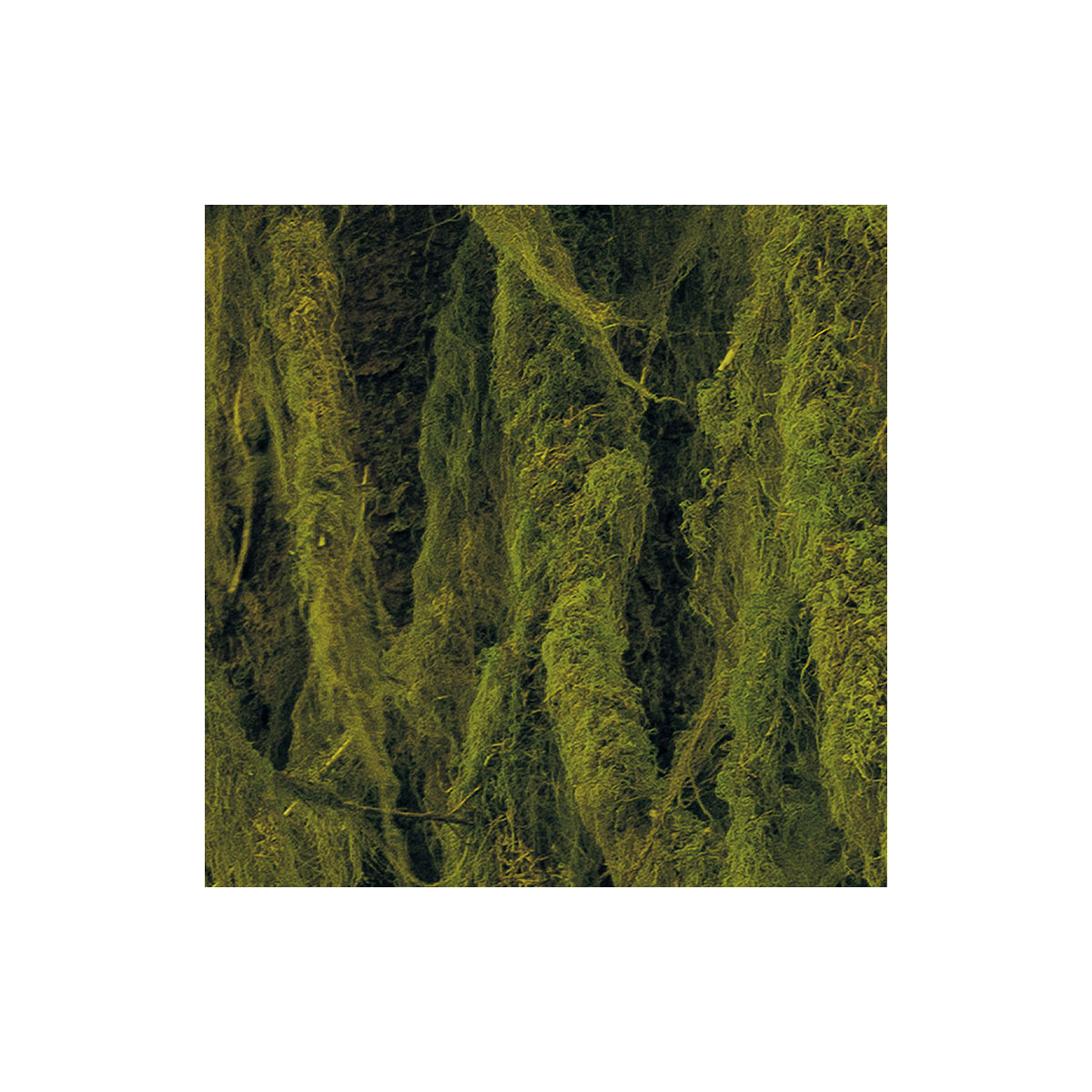 Komar  Vlies Fototapete Ancient World 400x250 cm Bild 7