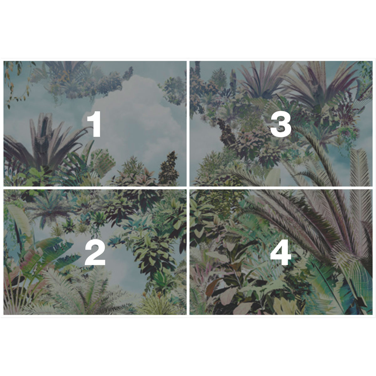 Komar  Vlies Fototapete Tropical Heaven 368x248 cm Bild 3