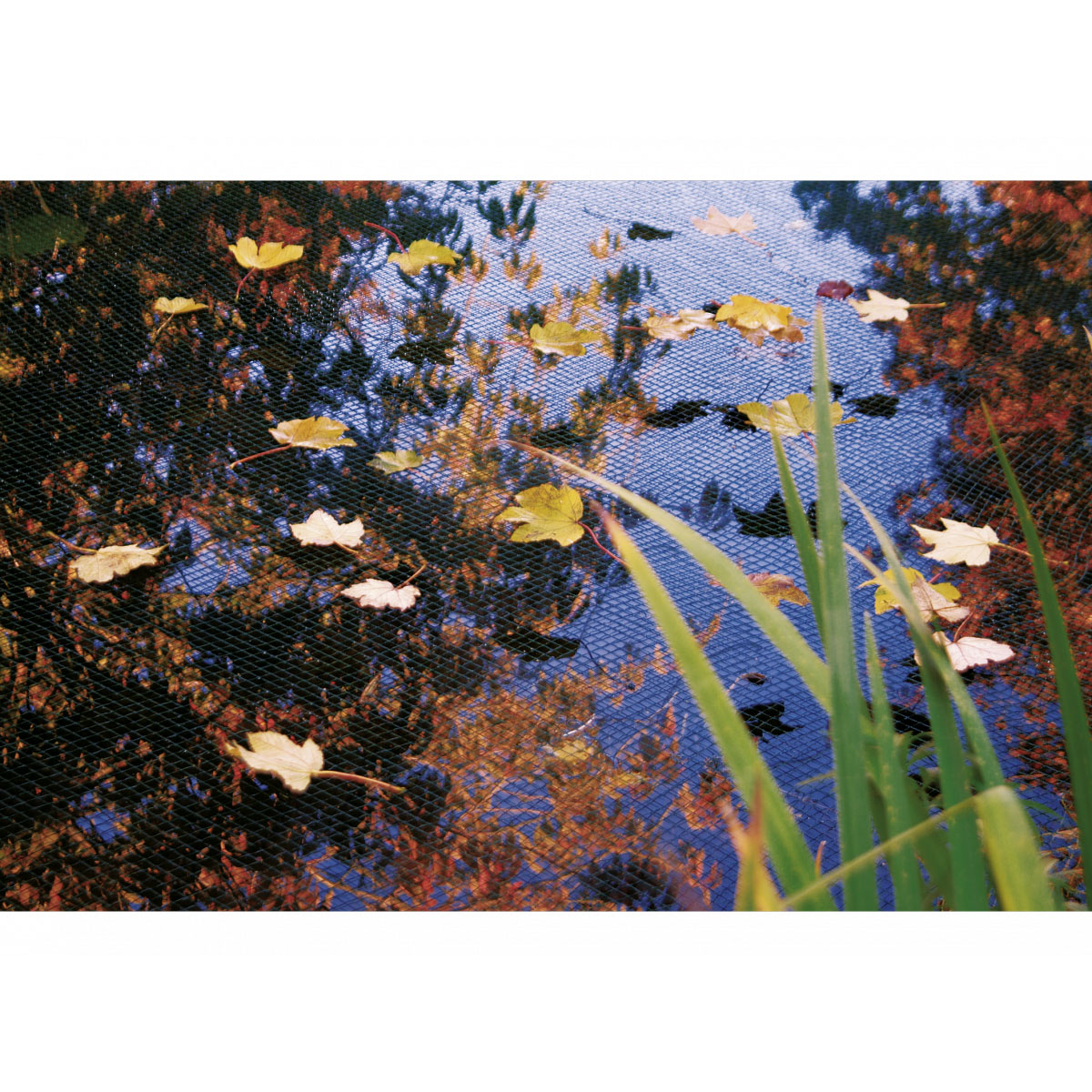 Ubbink Laubschutznetz Bild 2