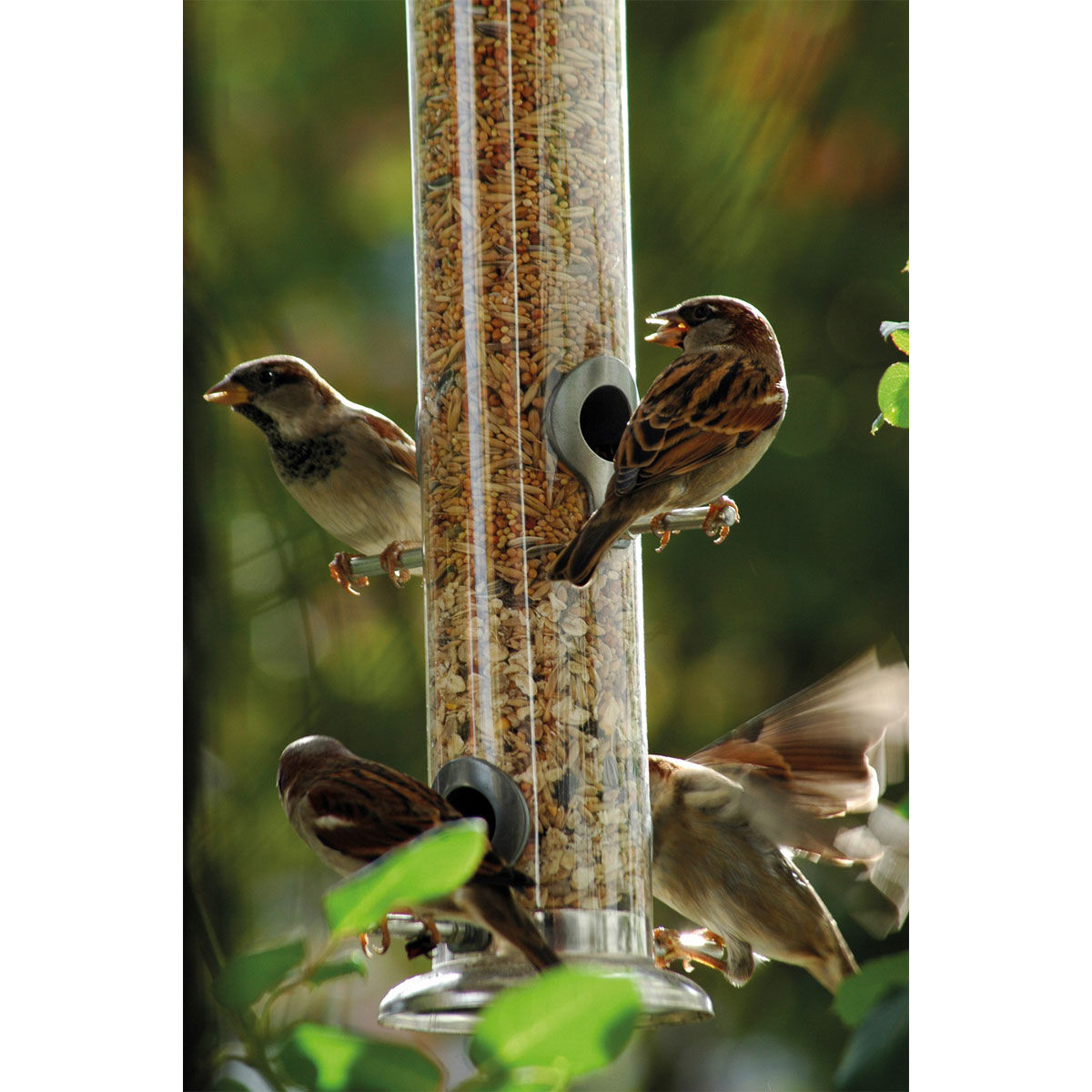 Futterspender 9,5 x 9,5 x 39 cm Metall Silber Bild 2