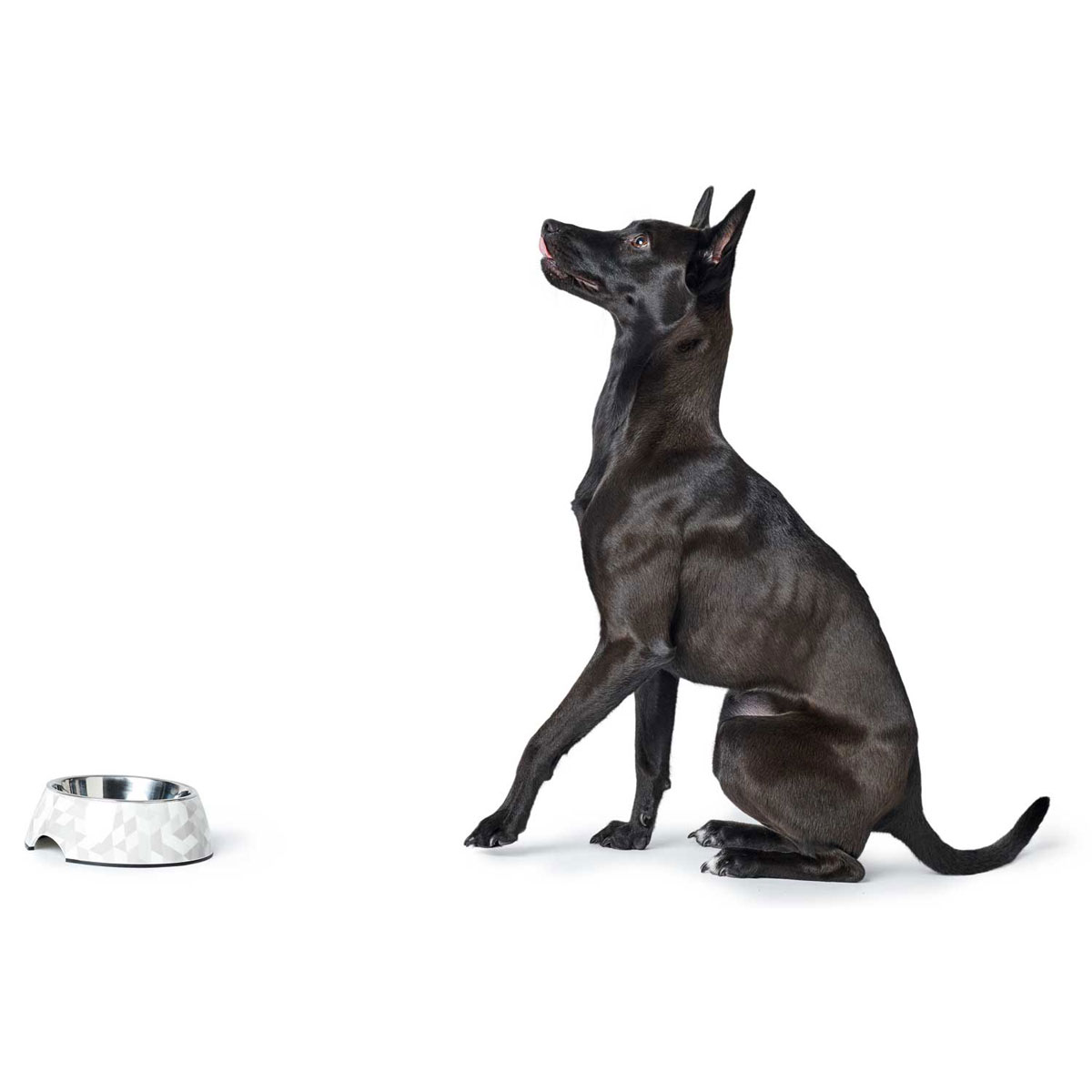 Hunter Melamin-Napf Baku weiß-grau 160 ml Bild 2