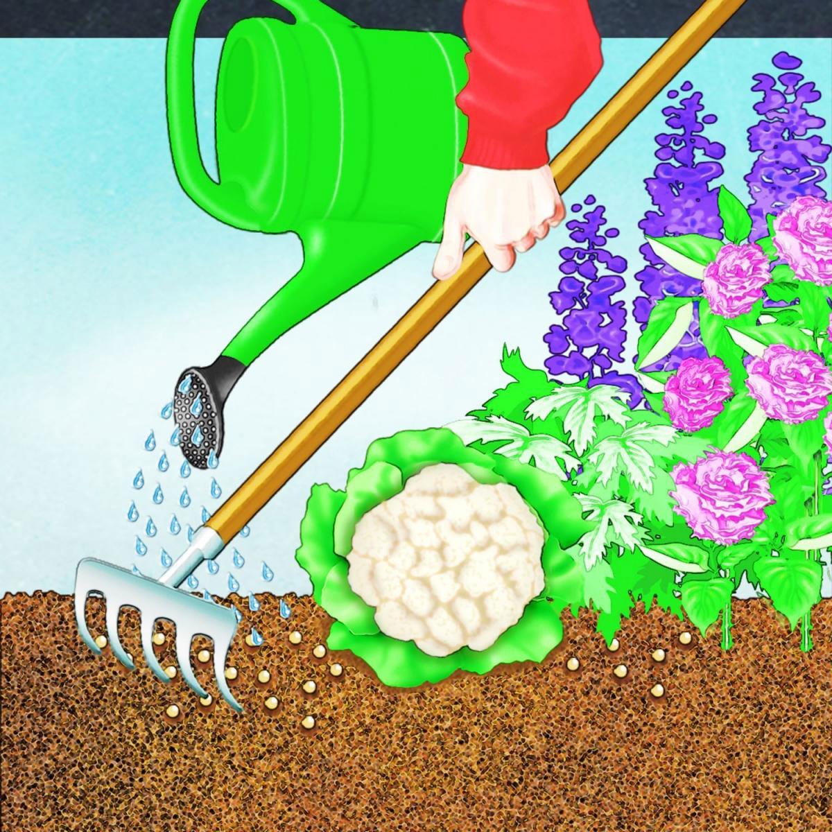 Compo BIO Universal Langzeit-Dünger mit Schafwolle 2 kg Bild 3