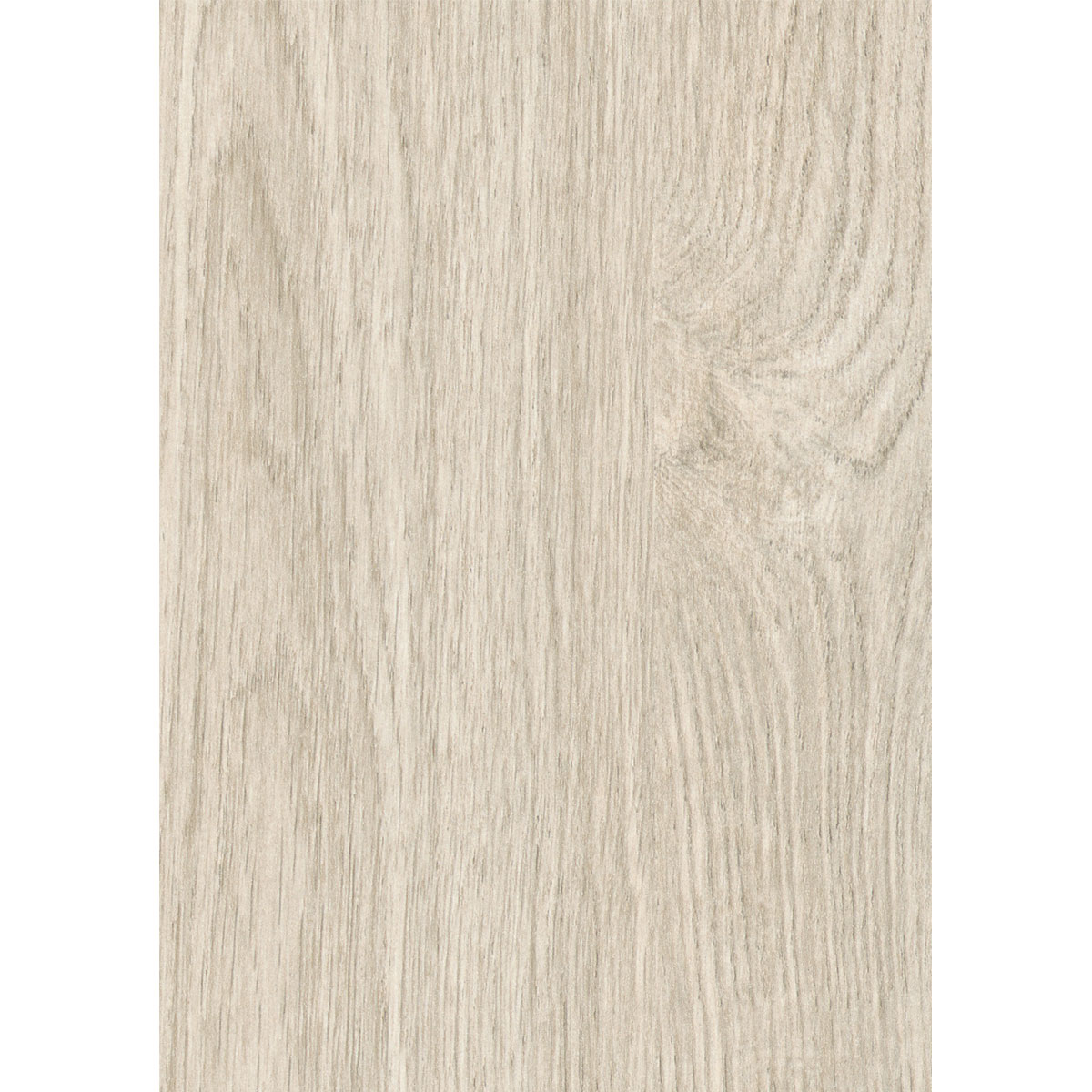Paneel Basic Eiche natur 260 x 15,4 x 0,8 cm
