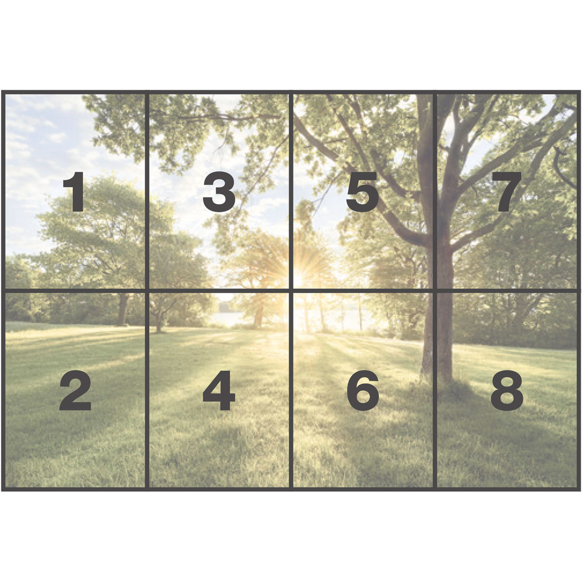 Komar  Papier Fototapete Golden Moment 368x254 cm Bild 3