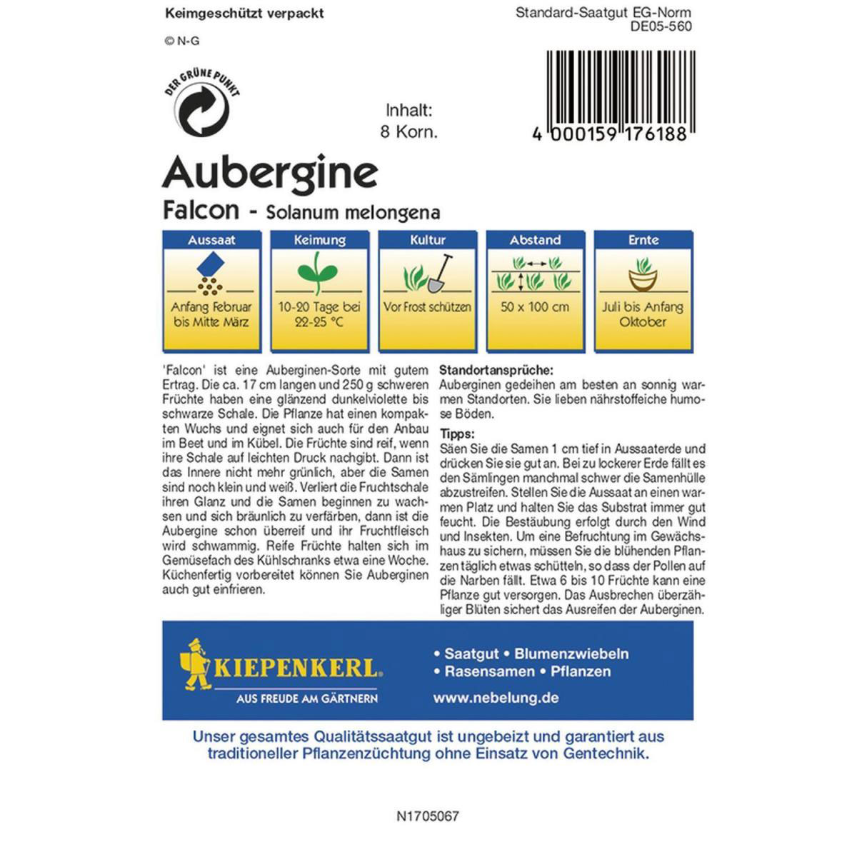 Kiepenkerl Aubergine Falcon Bild 2