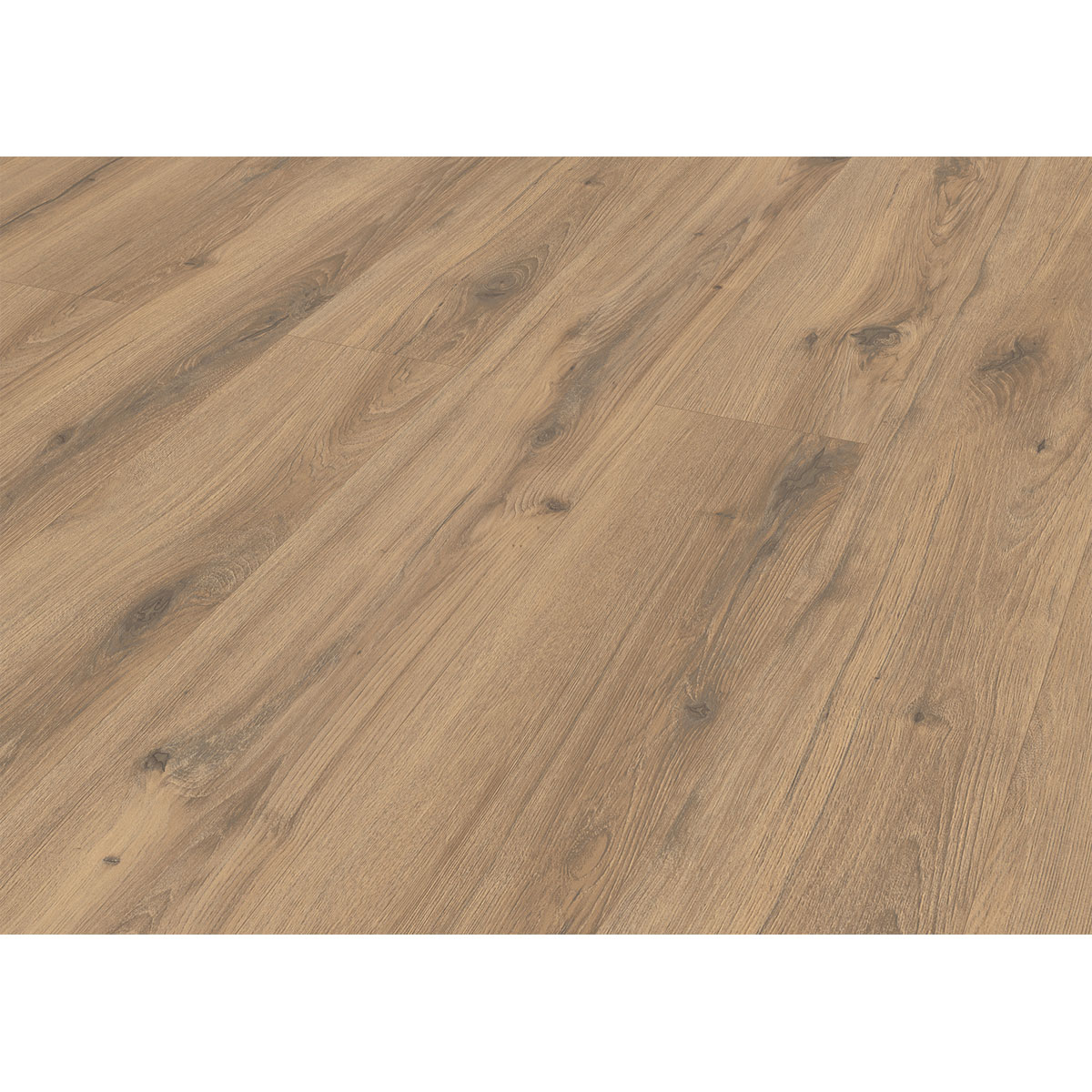 Designboden HydroClick Taupeiche Bild 3