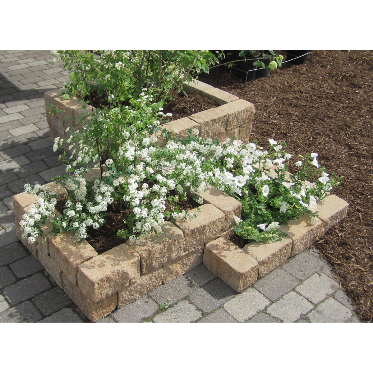 Diephaus  Mauerstein Cup Sandstein 30 x 10 x 10 cm PE3 Bild 2