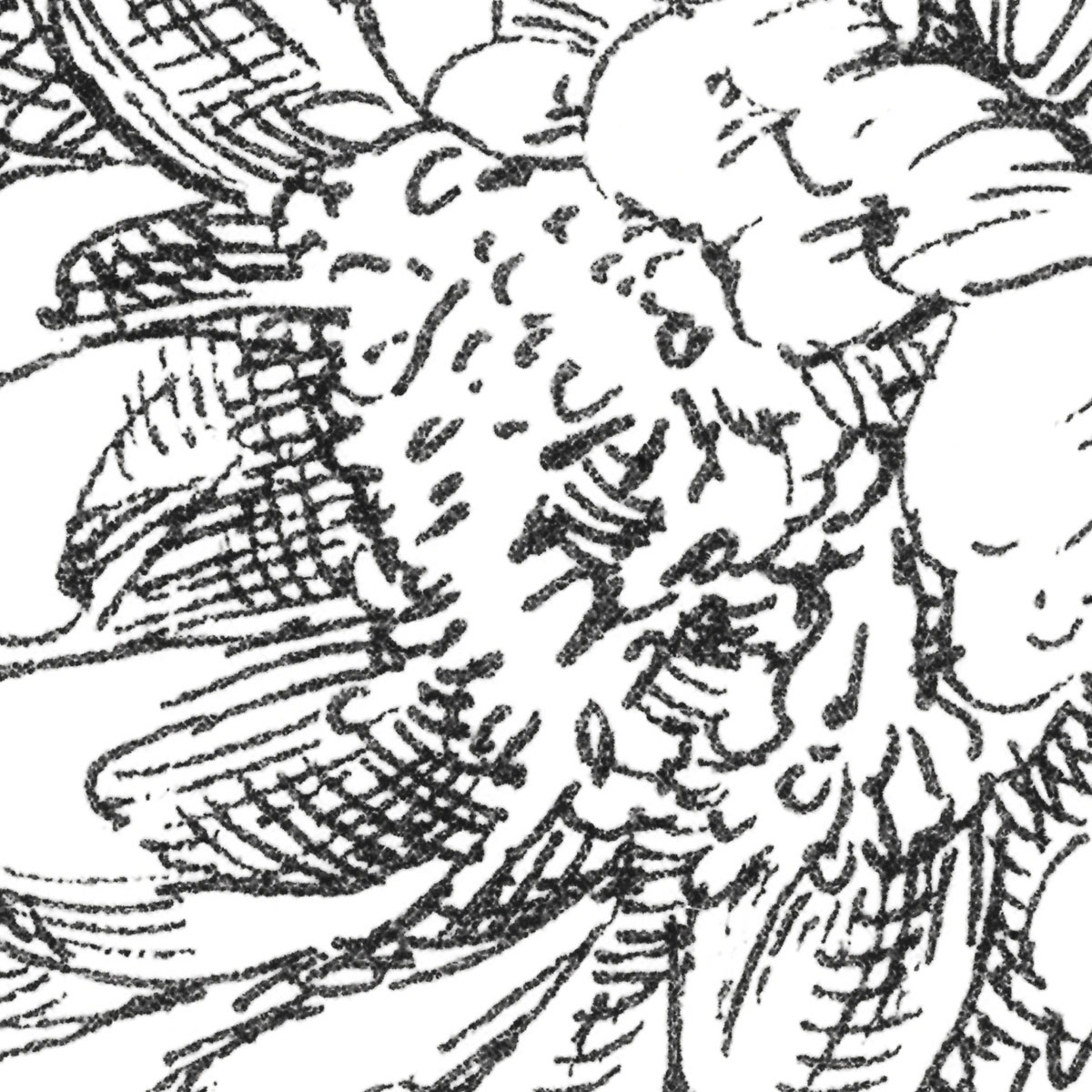 Komar  Vlies Fototapete Flowerbed 300x250 cm Bild 3