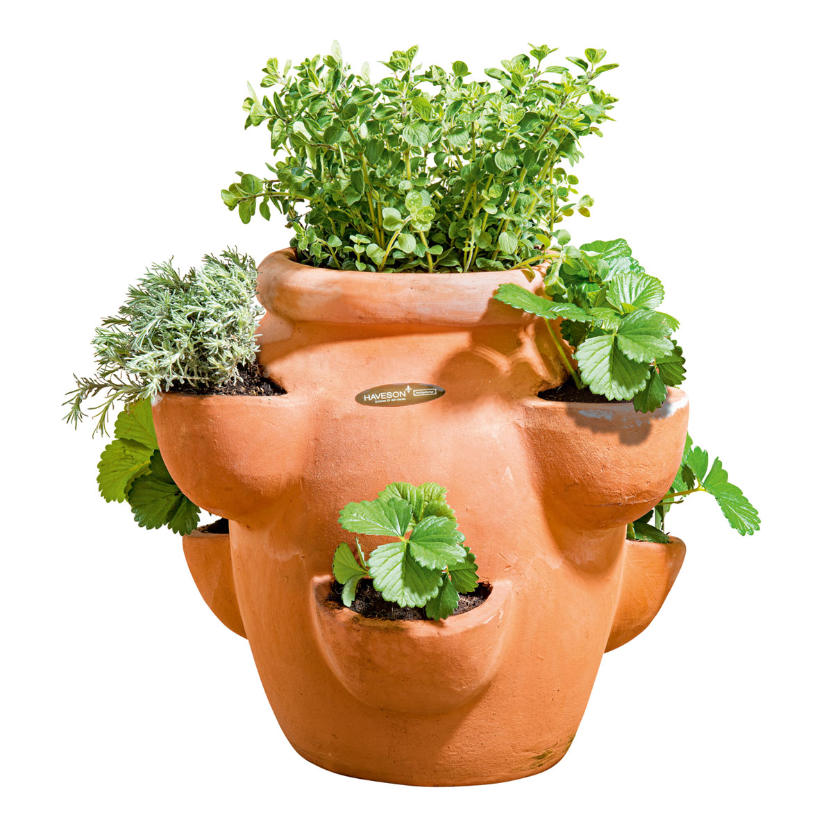 Haveson Erdbeer- und Kräutertopf Giardino Bild 2