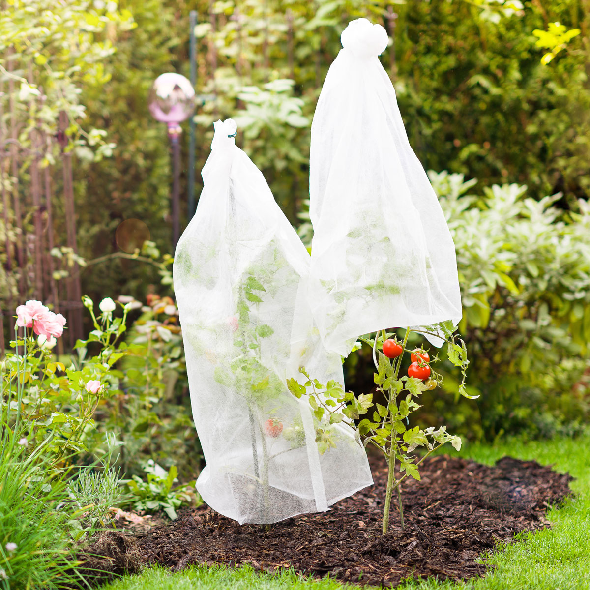 Windhager Tomaten-Vliesschlauch 10 x 0,65m Bild 3