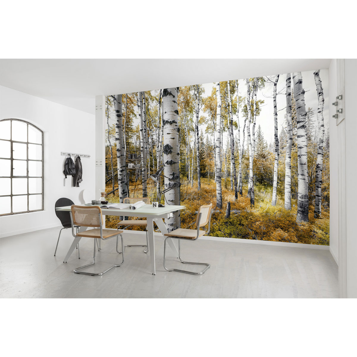 Komar  Vlies Fototapete Colorful Aspenwoods 450x280 cm