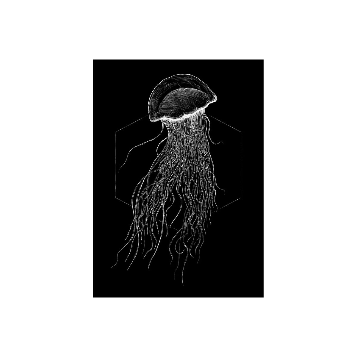Komar  Wandbild Jellyfish Black 30x40 cm Bild 2