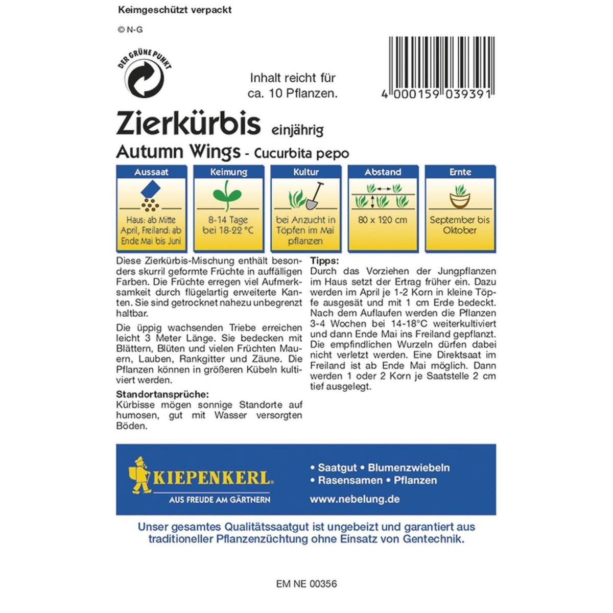 Kiepenkerl Zierkürbis Autumn Wings Profi-Line Bild 2