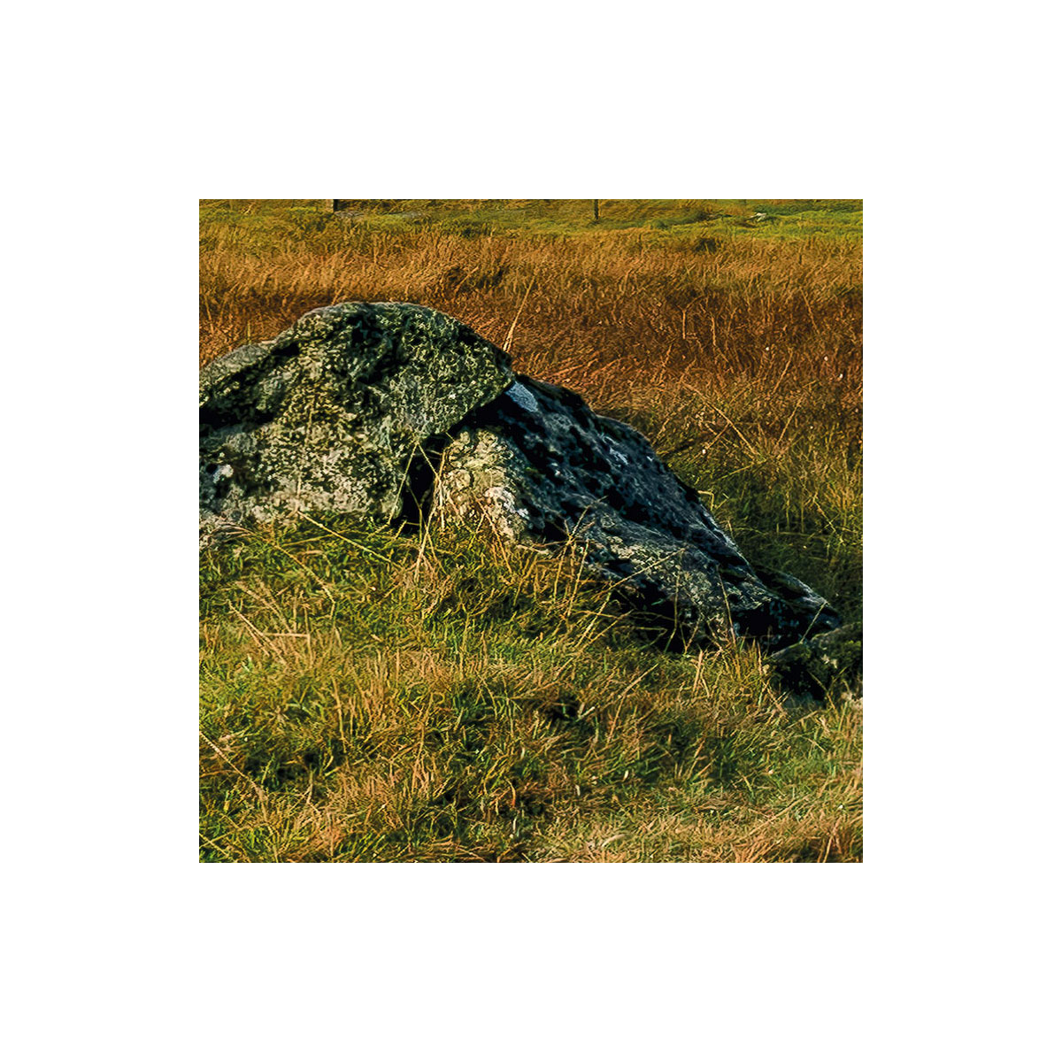 Komar  Vlies Fototapete Coloured Faeroer 450x280 cm Bild 7