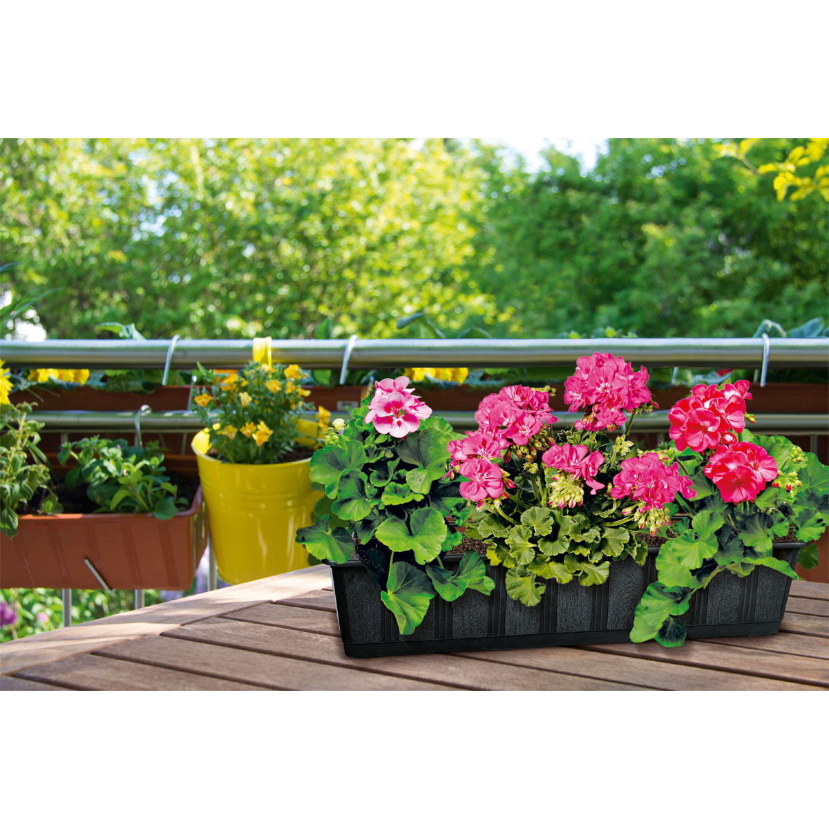 Geli Blumenkasten Aqua-Green plus anthrazit 60 cm Bild 5