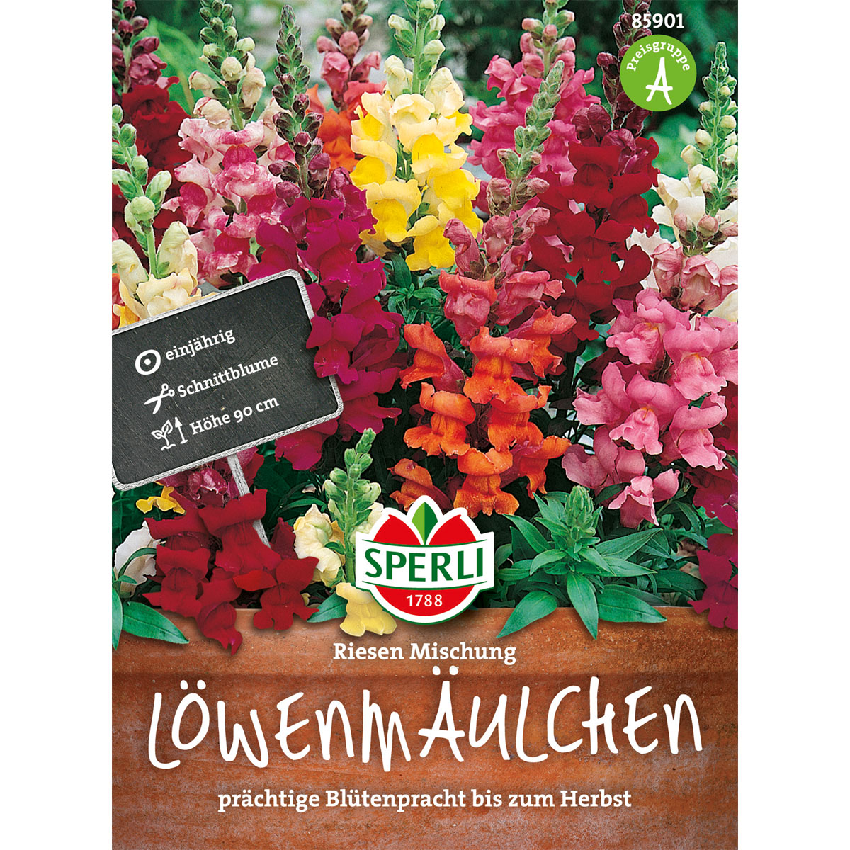 Sperli Löwenmaul ngs Riesen