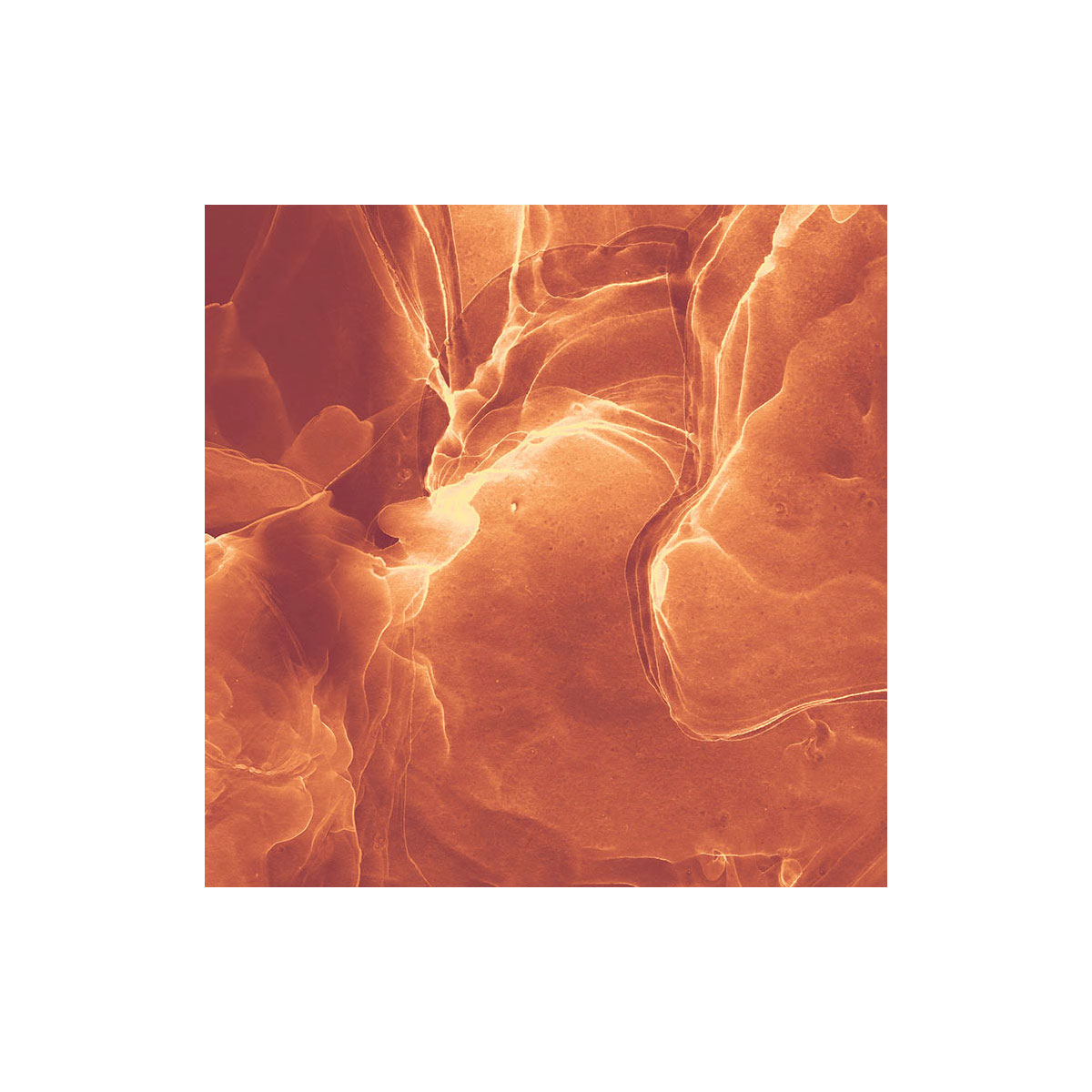 Komar  Vlies Fototapete Evoke 400x280 cm Bild 4