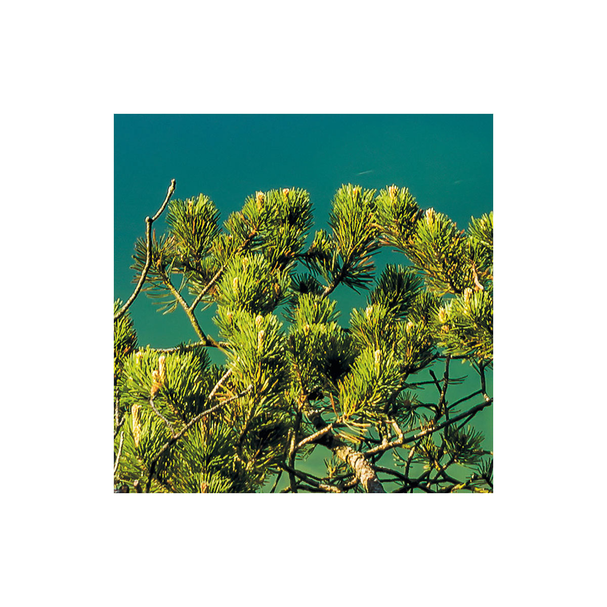 Komar  Vlies Fototapete Beautiful Germany 200x250 cm Bild 7