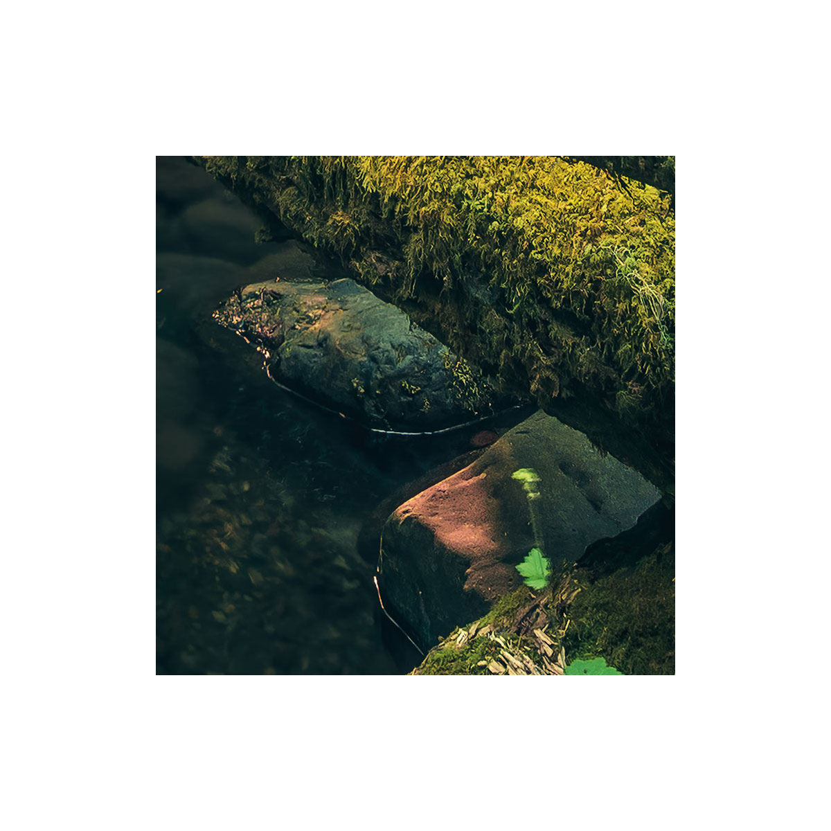 Komar  Vlies Fototapete Elves Cathedral 450x280 cm Bild 8