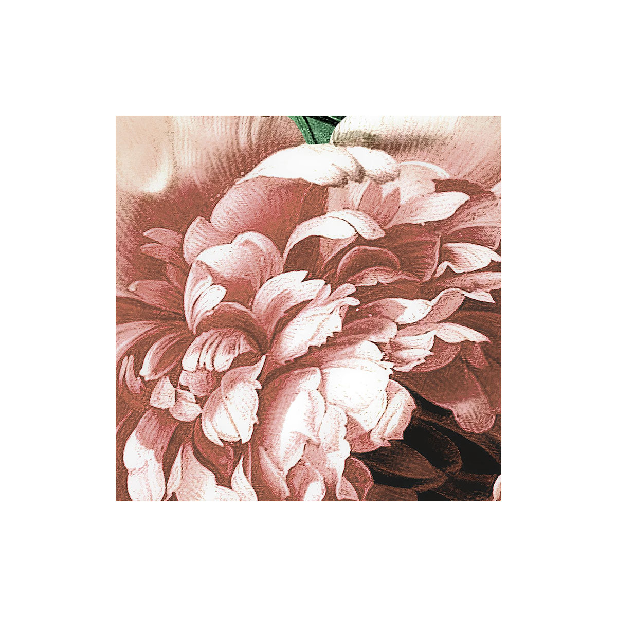 Komar  Selbstklebende Vlies Fototapete rund Flower Couture Durchmesser 125 cm Bild 6