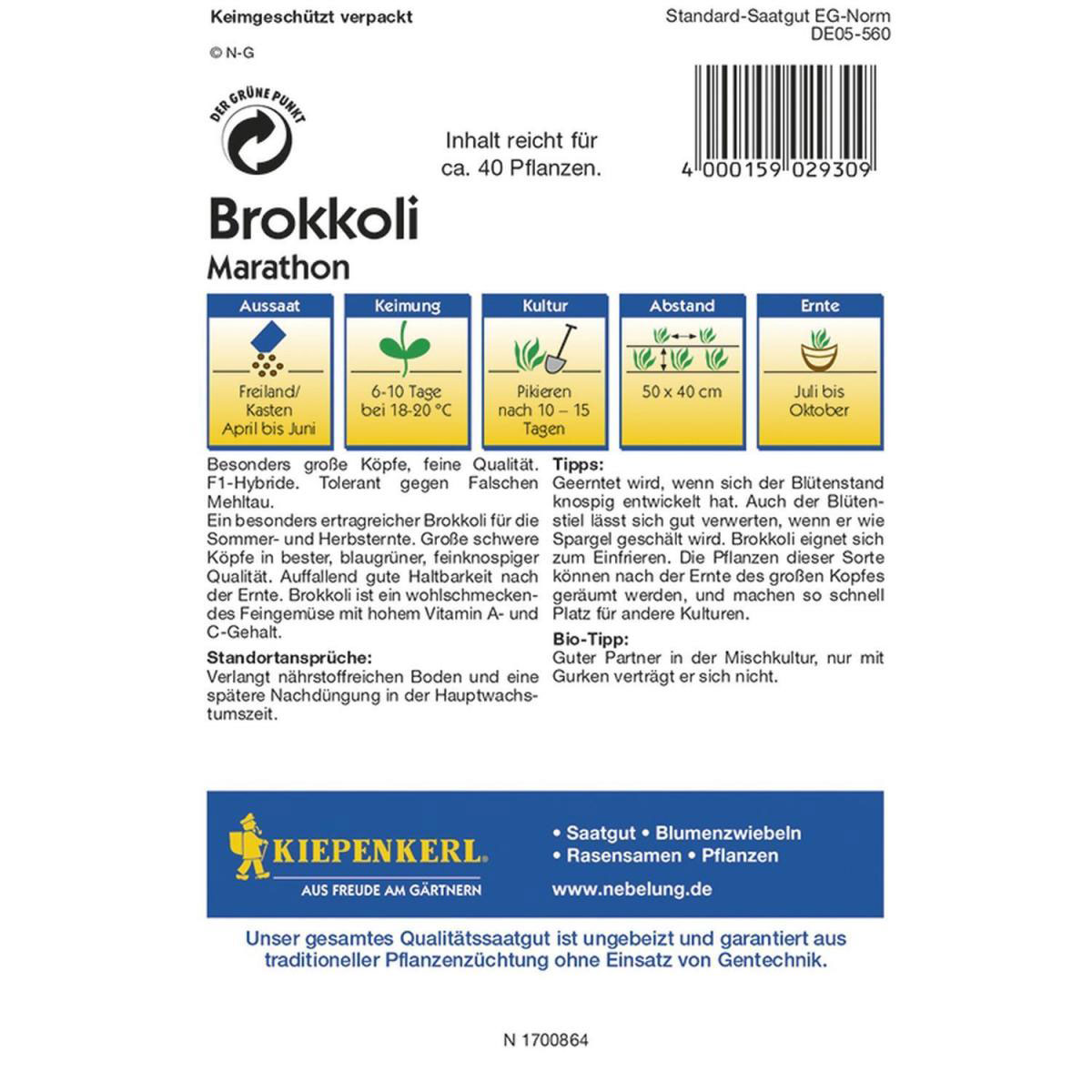 Kiepenkerl Brokkoli Marathon F1 Profi-Line Bild 2