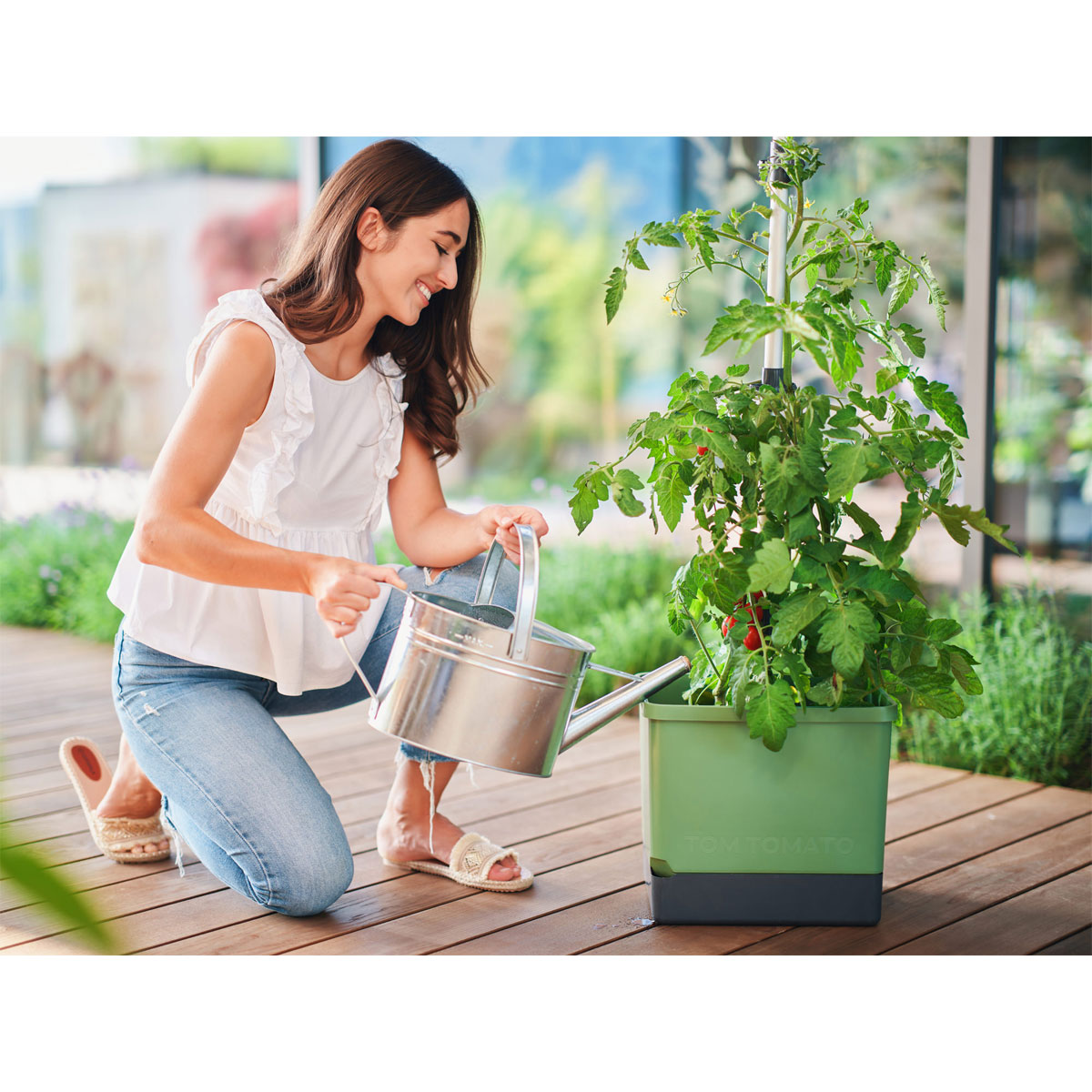 Anzuchtsgefäß Tom Tomato dunkelgruen Bild 3