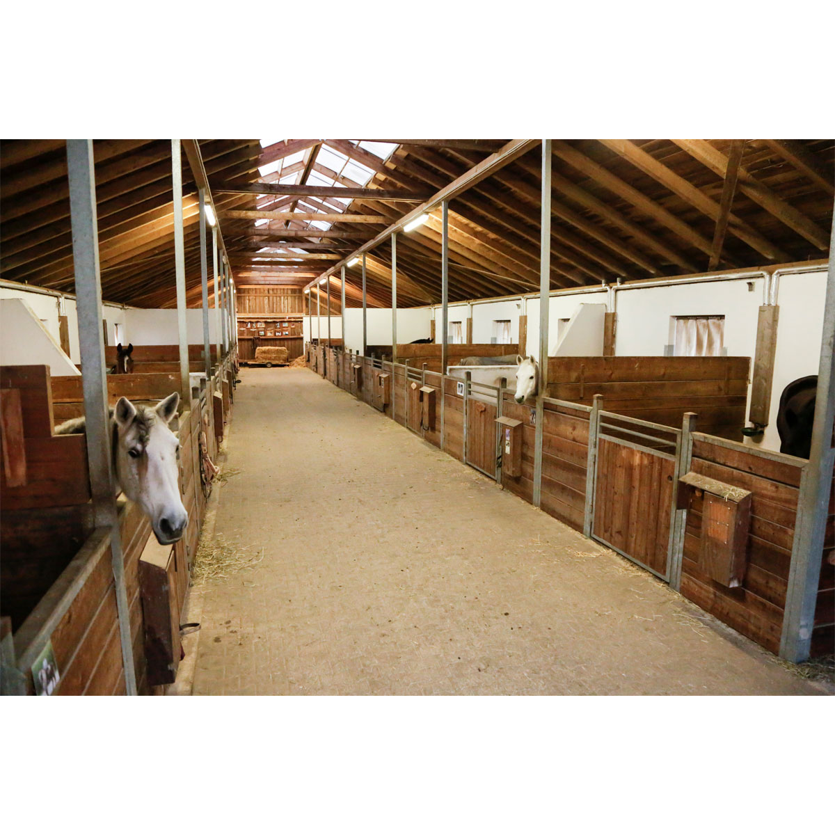 Outdoor-Kamera FHD mini schwarz 21 x 12,5 x 21 cm Bild 2