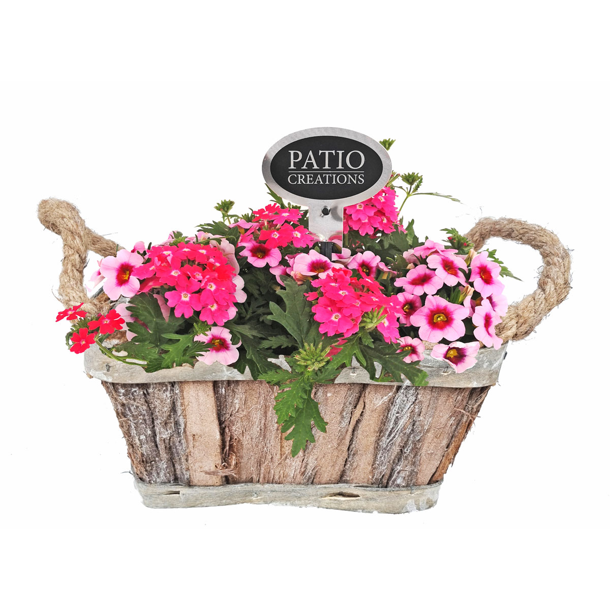 Plantiflor  Bepflanztes Gefäß Rindenkorb 20 x 14 cm