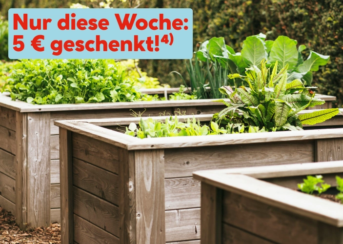 Hochbeet-Gutschein Aktion